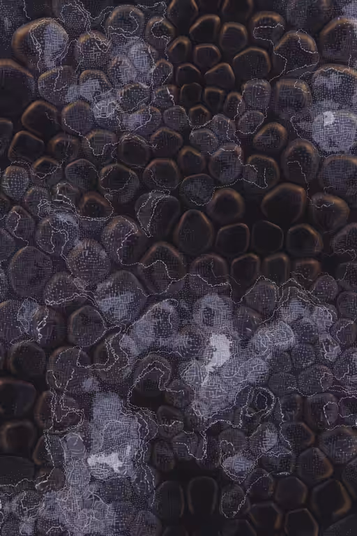 Vitreous #85