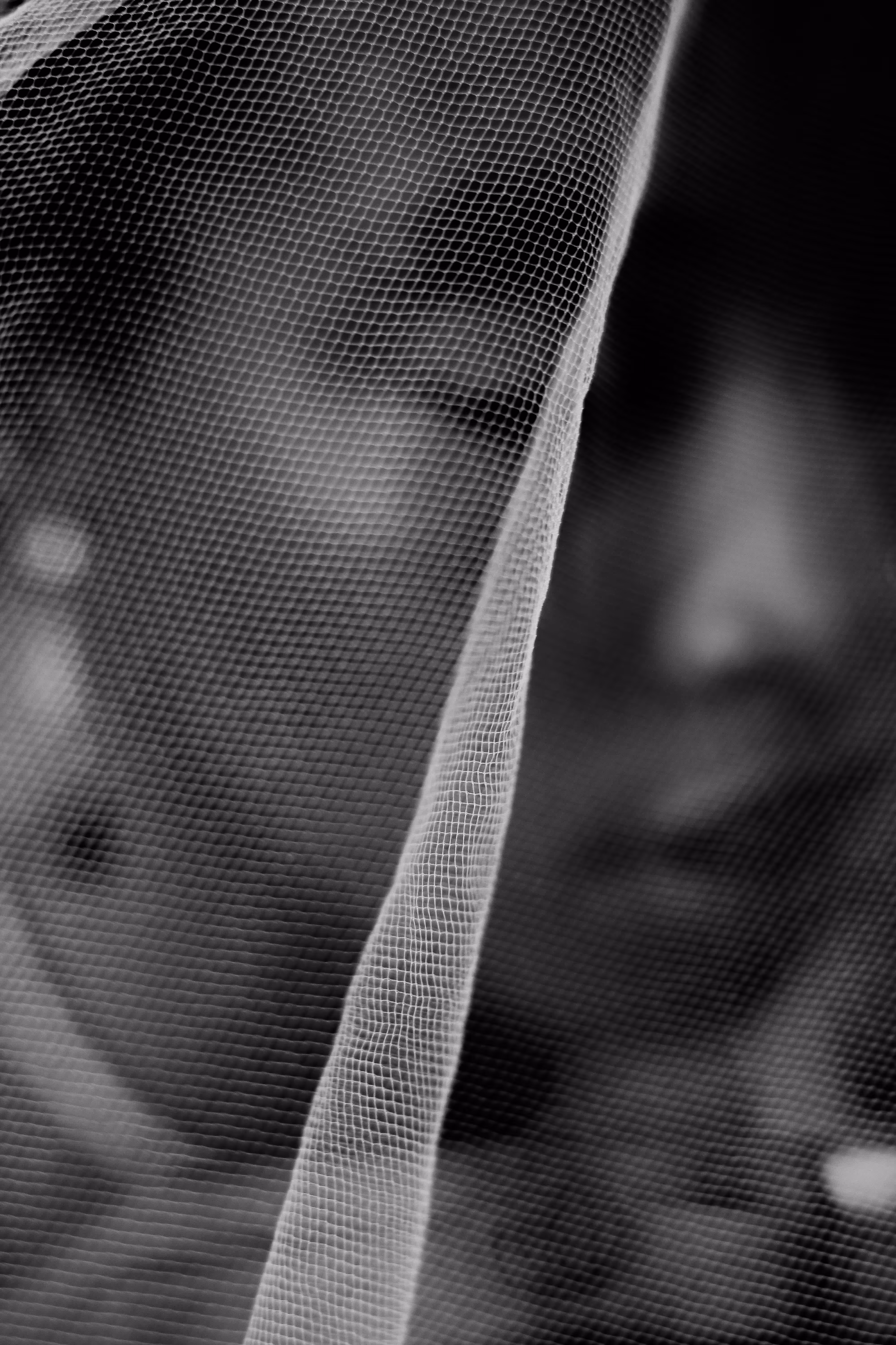 VEIL