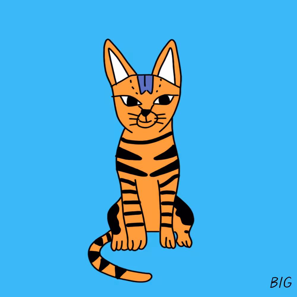 Viverridae Cat