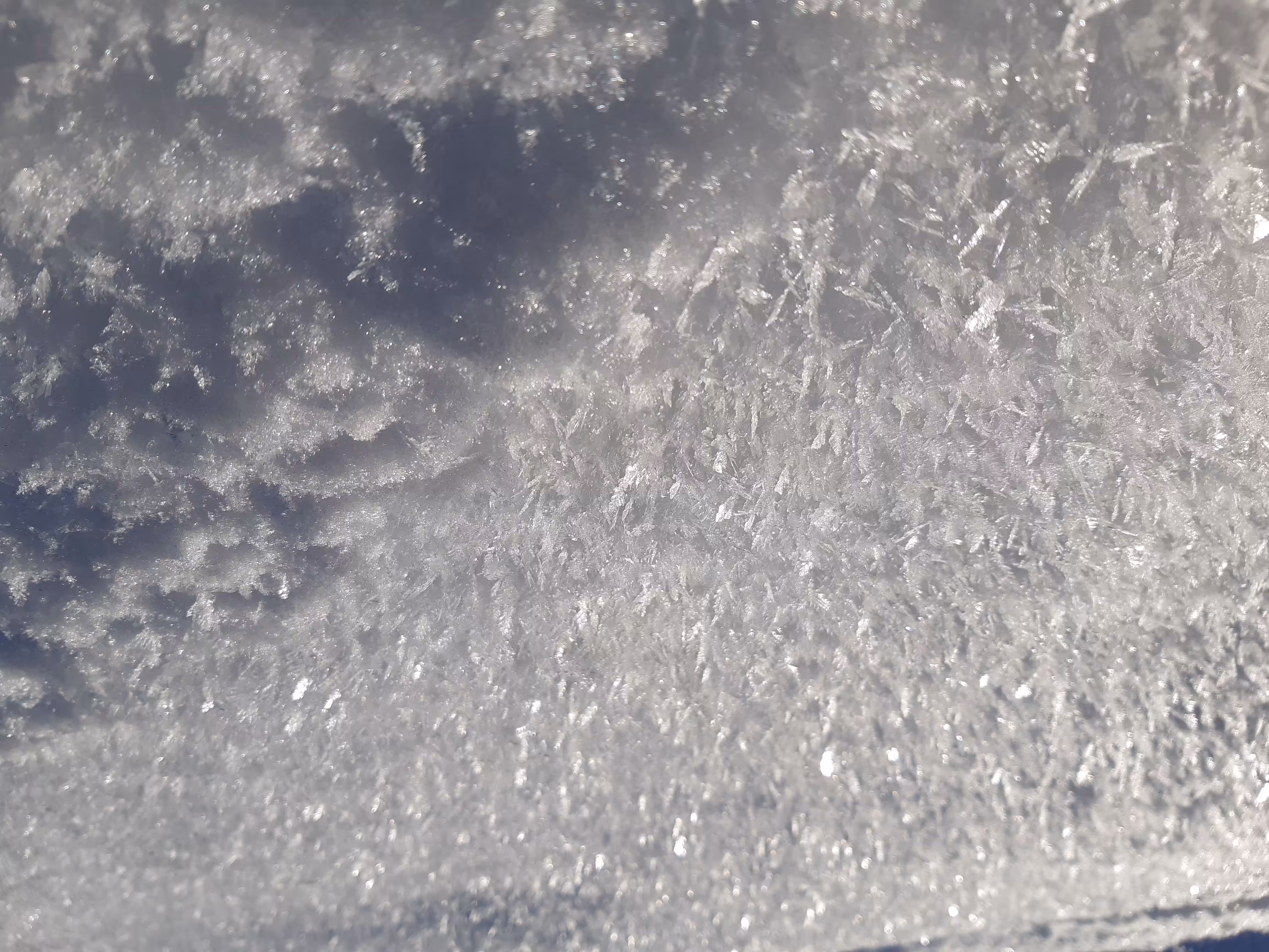 De la Neige en été #9