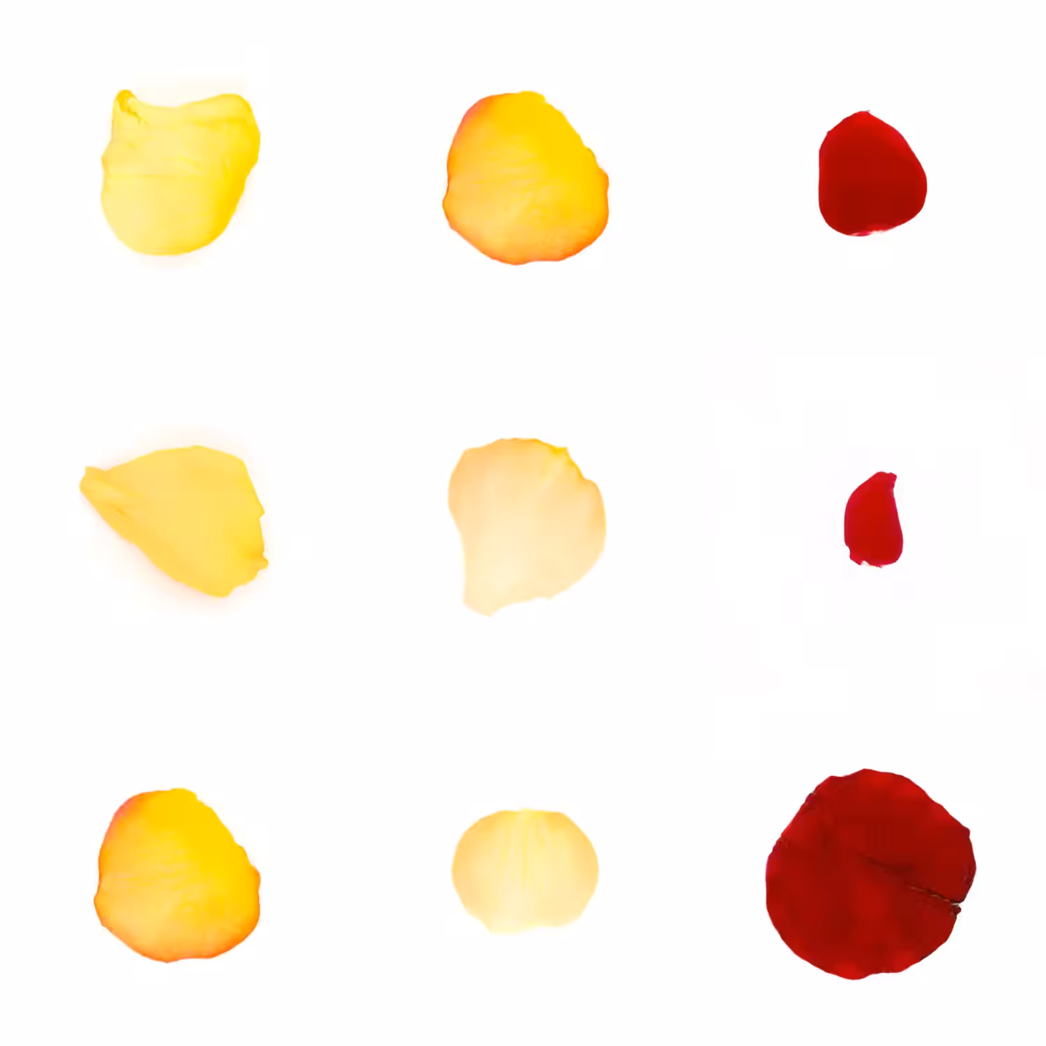 Infinite Petals 3x3#20572