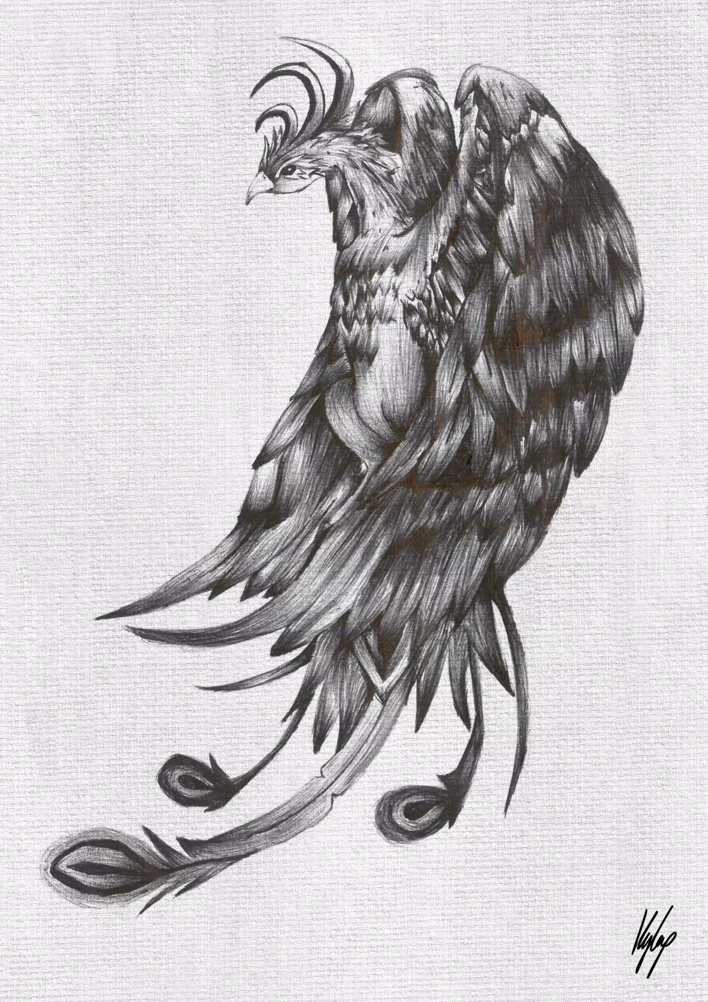 Ink Phoenix