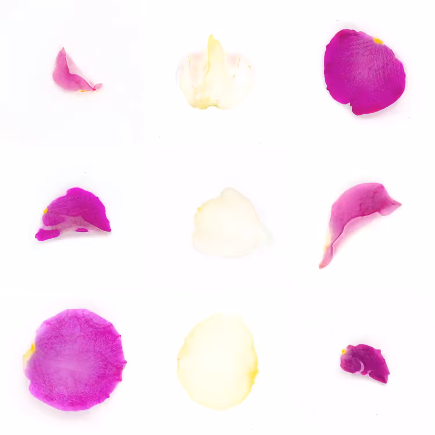 Infinite Petals 3x3#3732