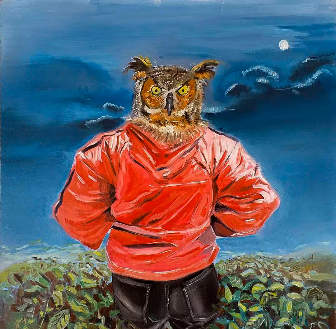 Nature and Owl
