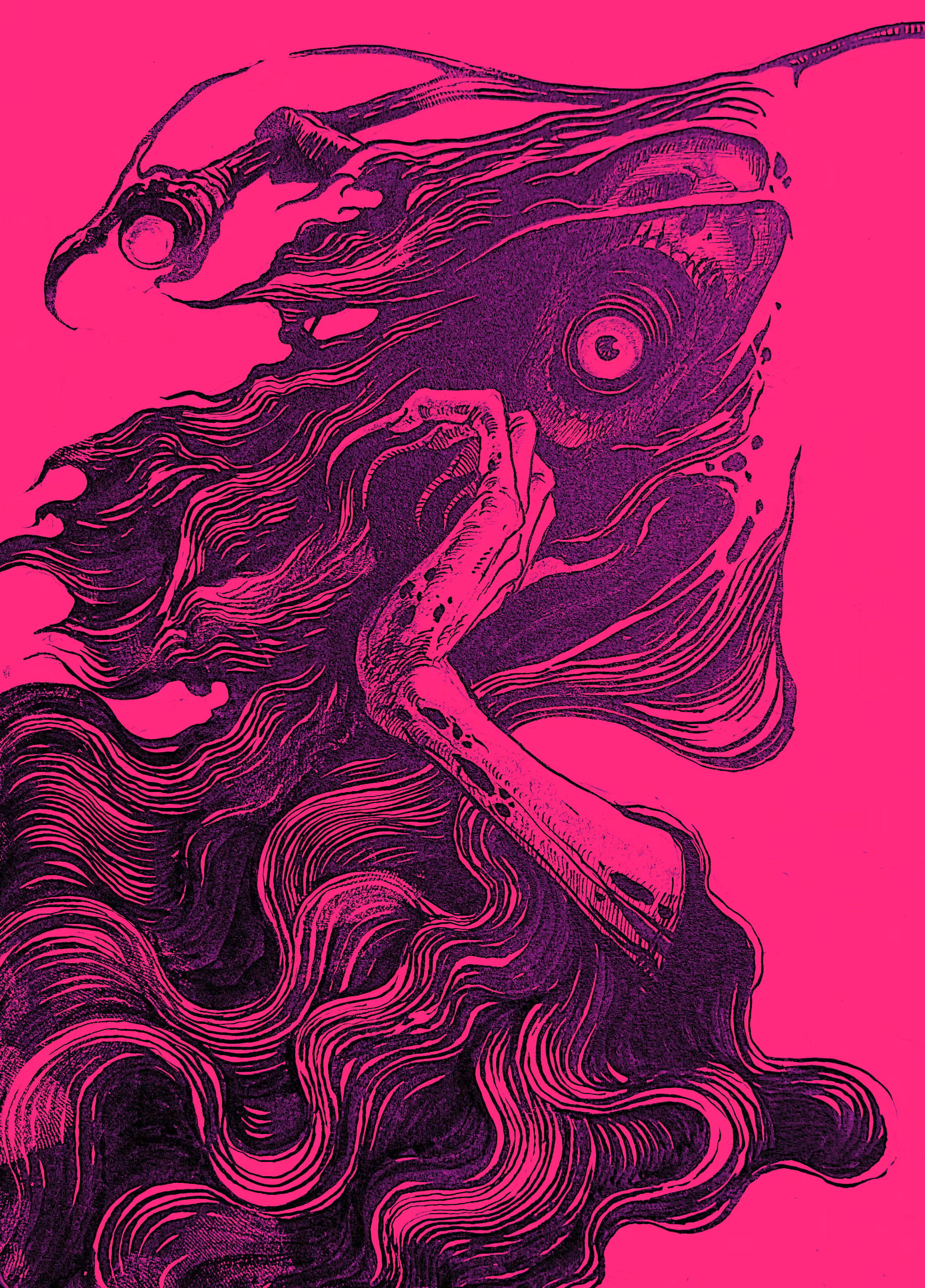 THE EYE
