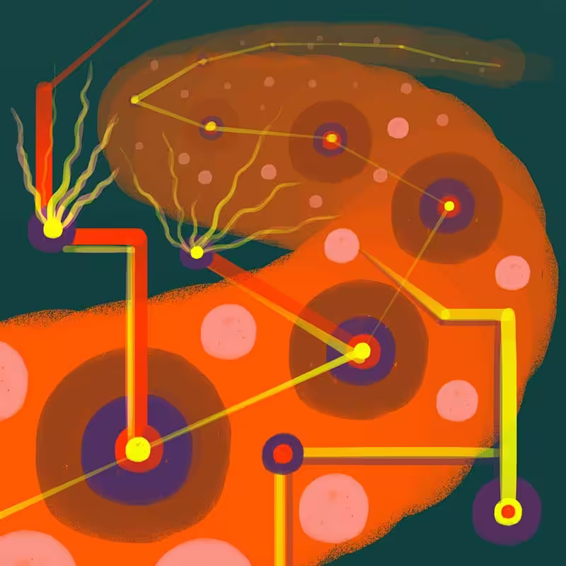 worm.TMOV78