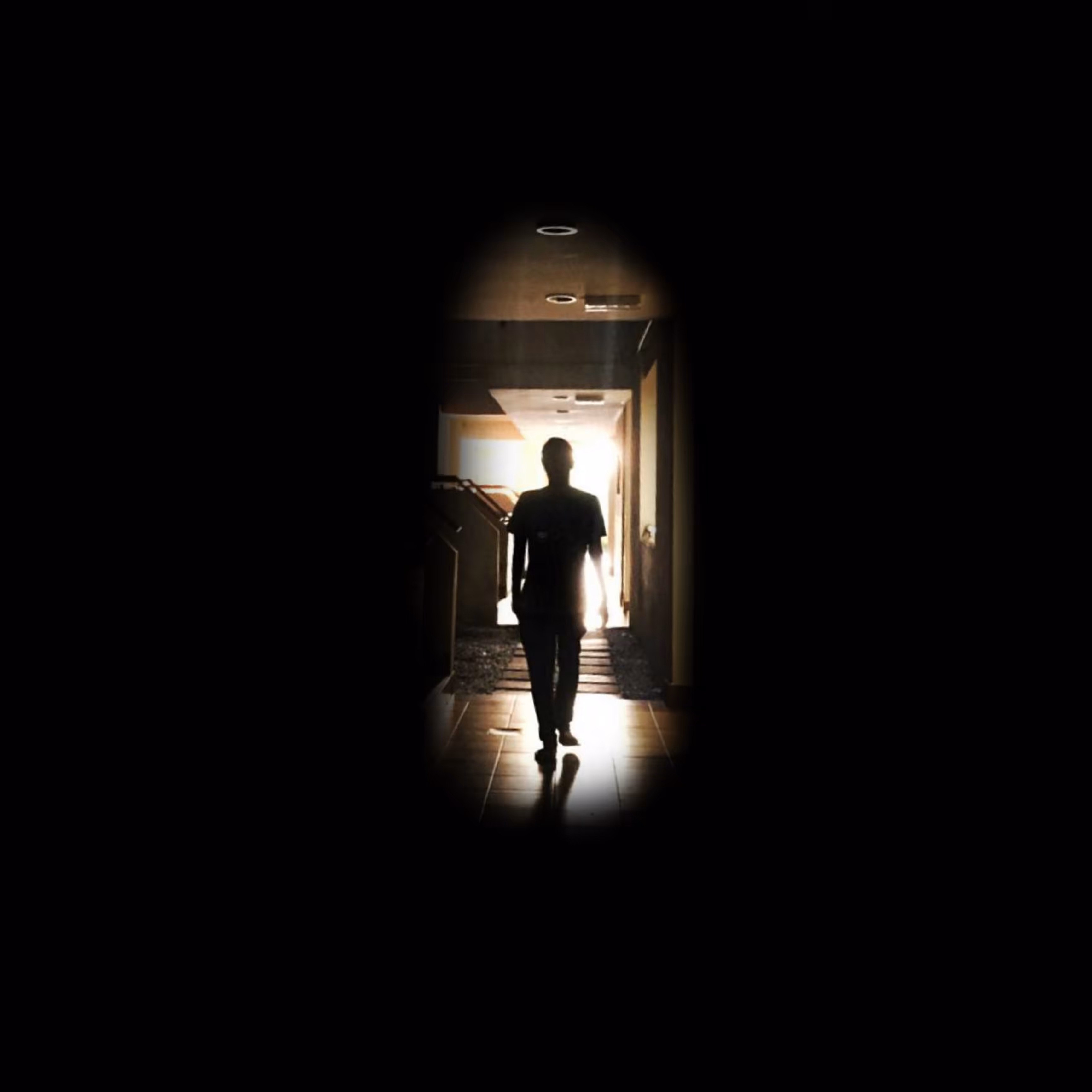 TOWARDSLIGHT ?