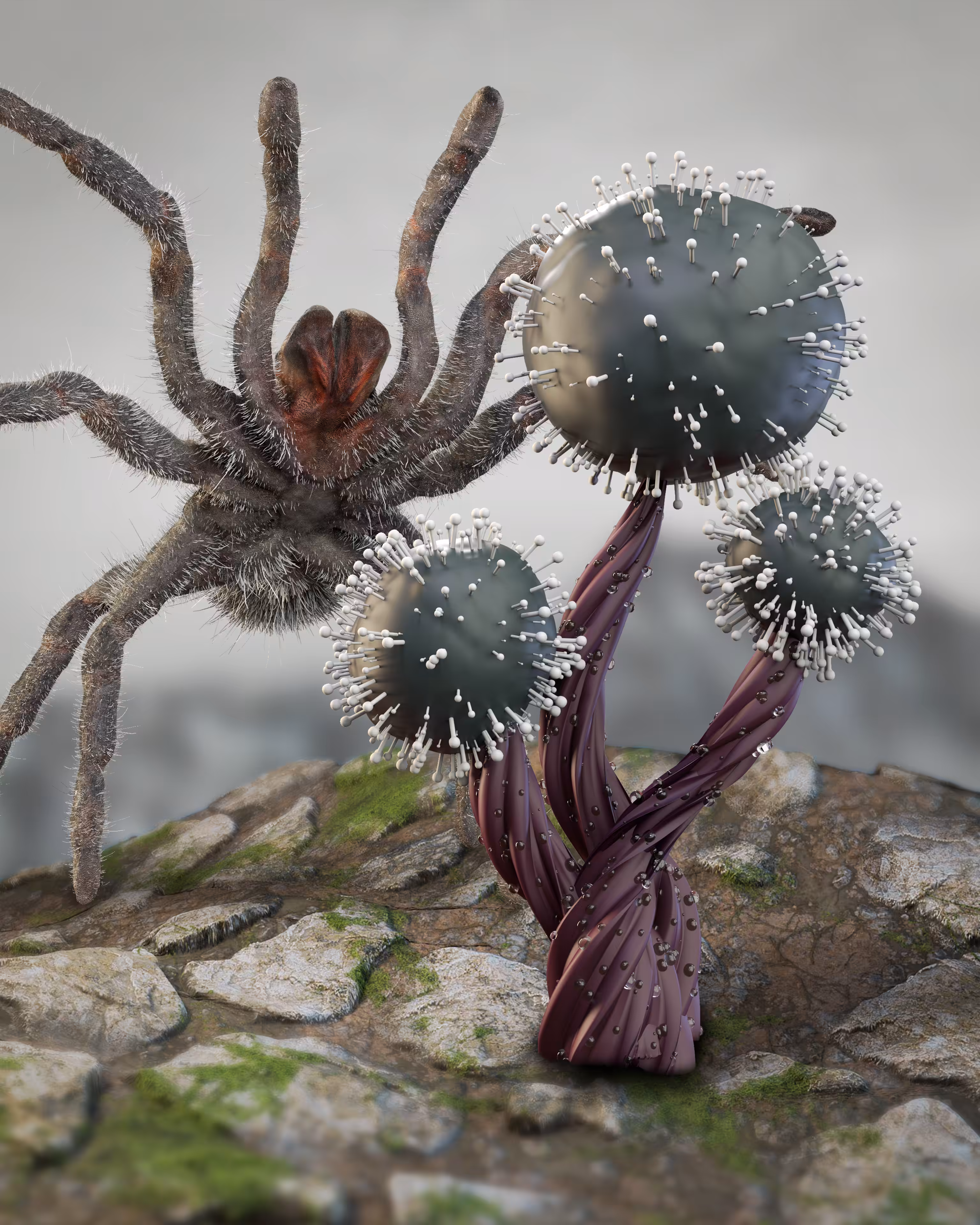 Strange Fruit #015
