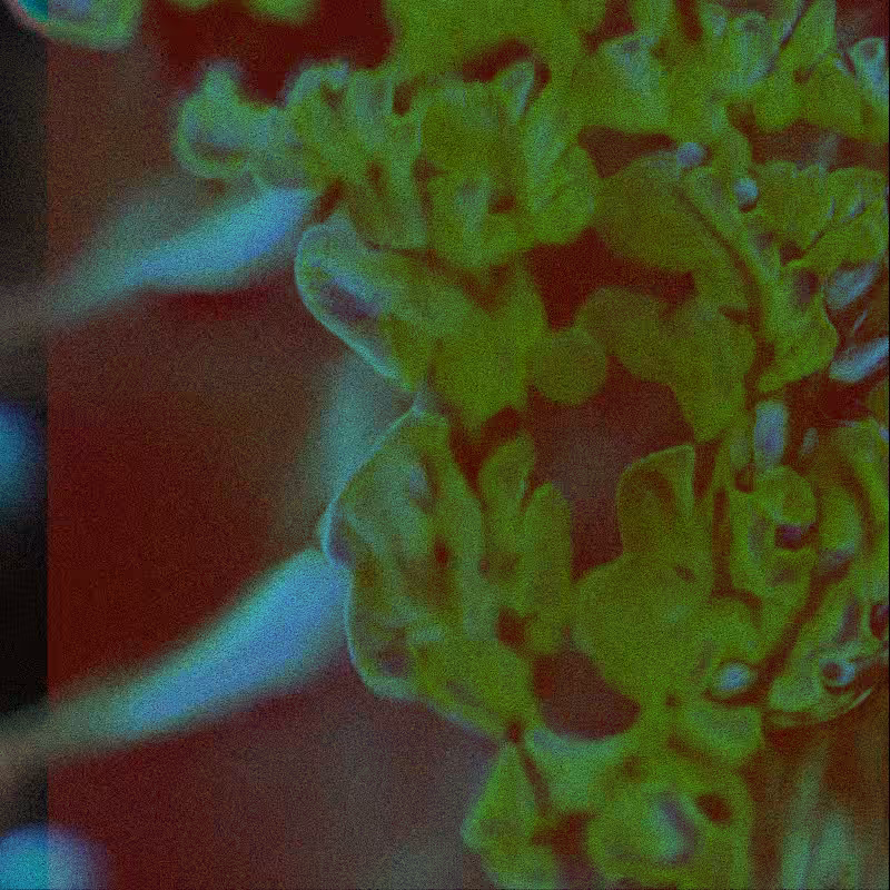 CLDCSMC #92