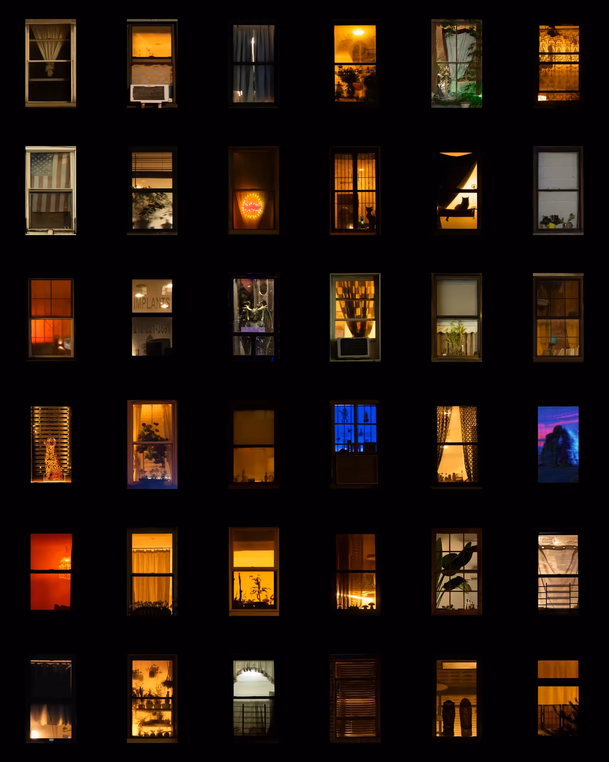 BUILDINGS // NYC: BUILDING 2041