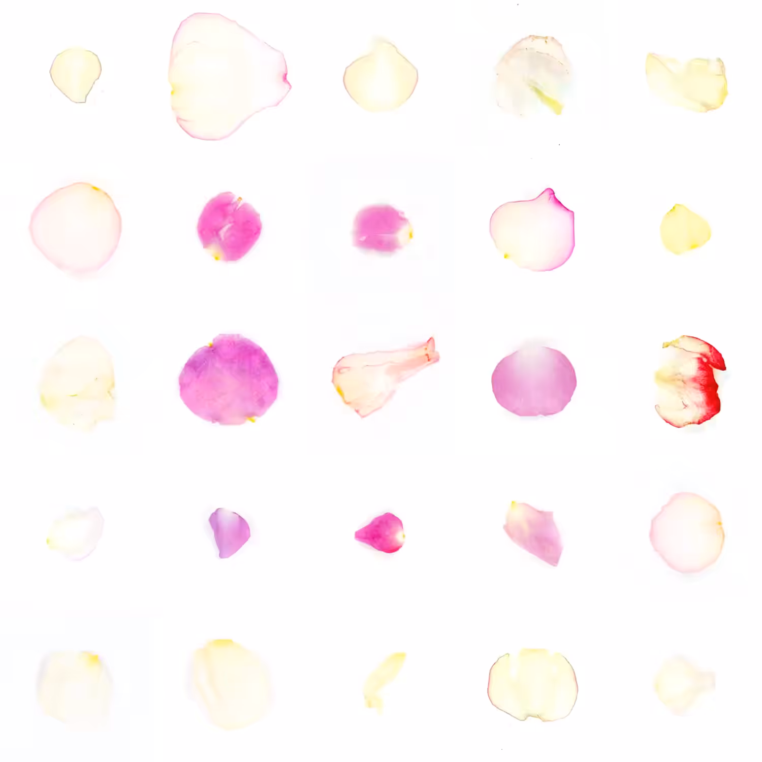Infinite Petals 5x5#20887