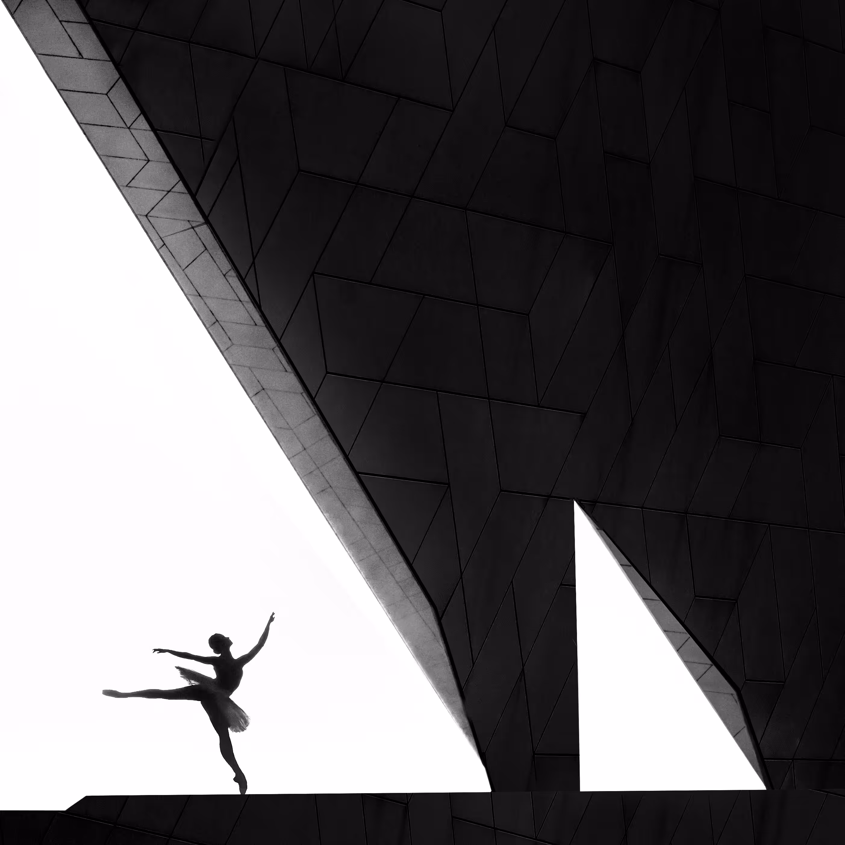 Pure Contrast