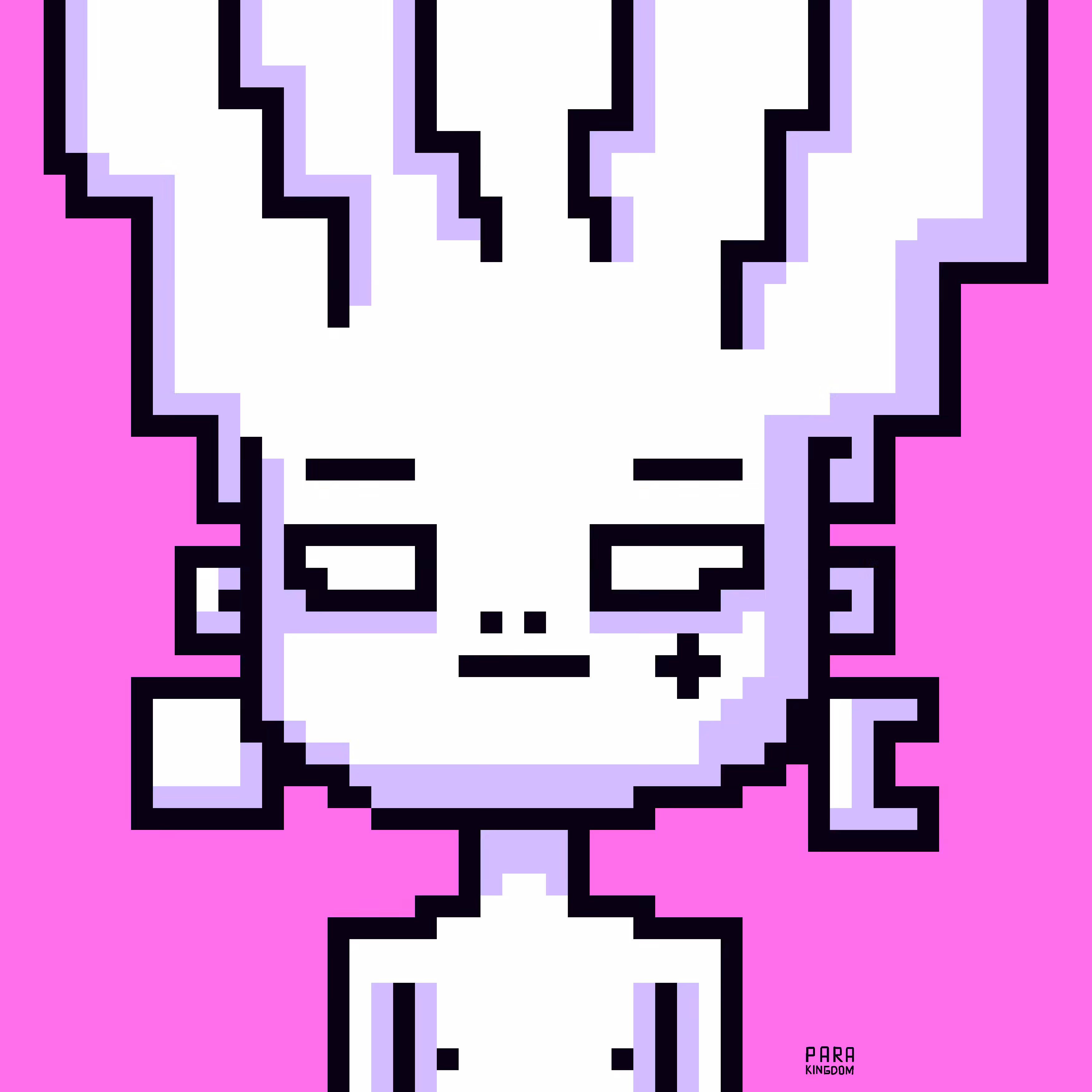 PARA KINGDOM#62 - 8 BIT