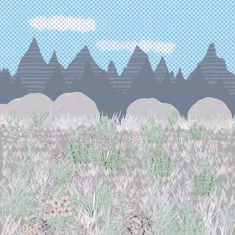 Mountain Meadows #66