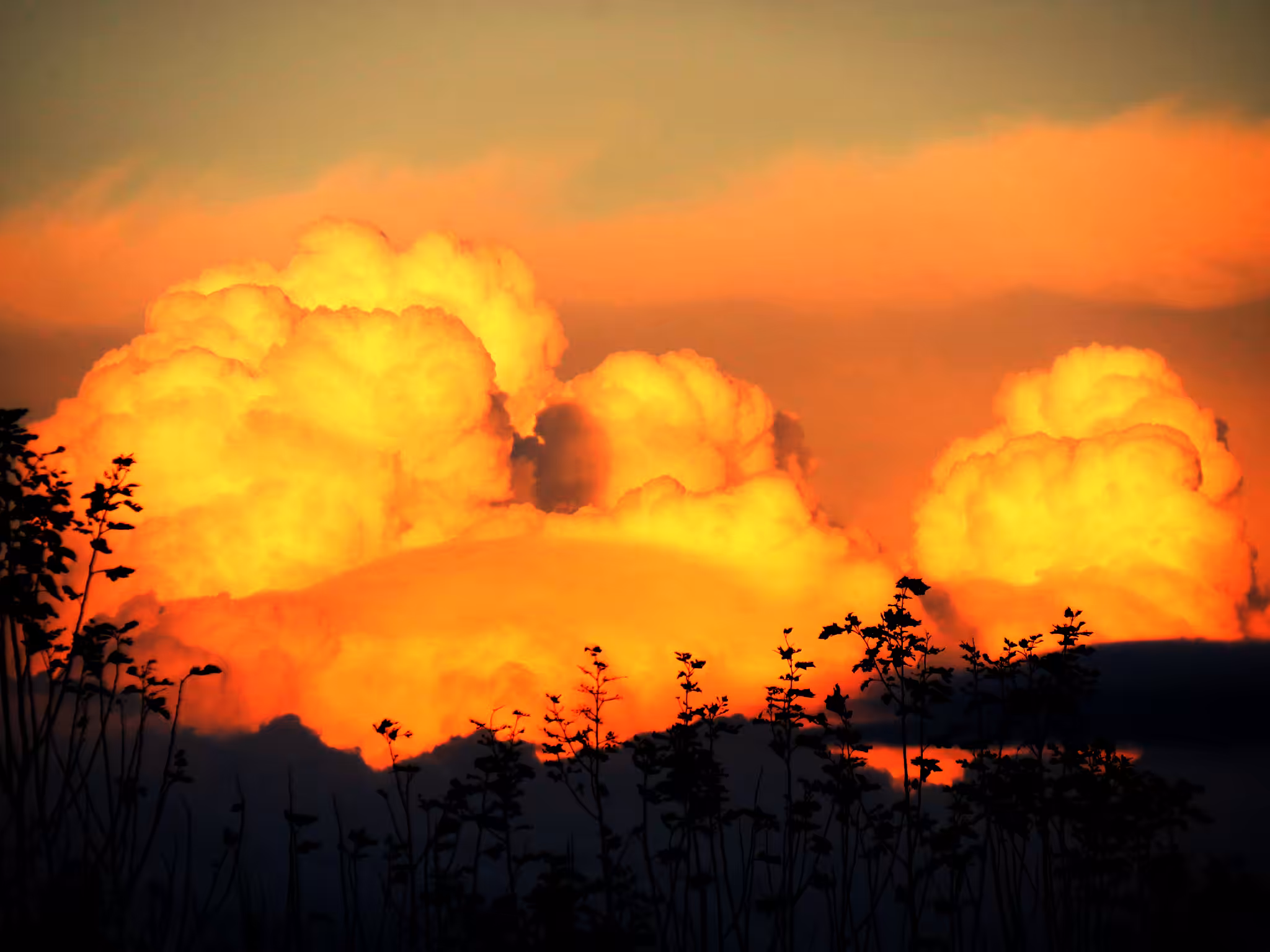 Mushroom Cloud 009