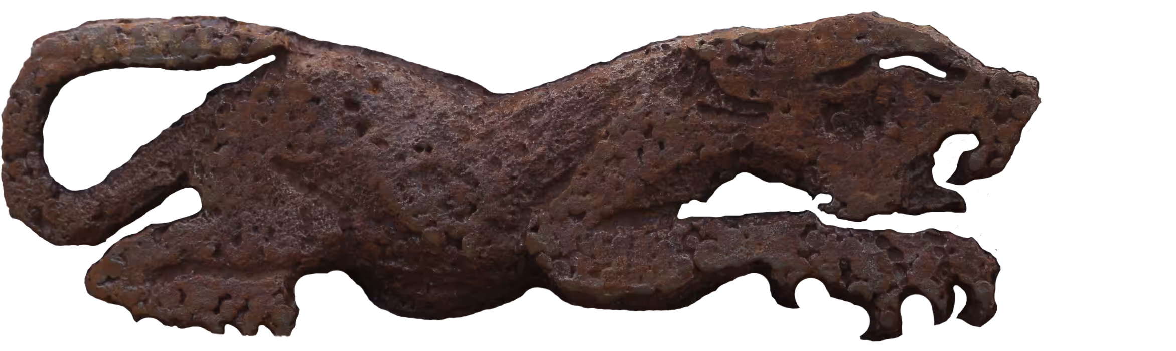 Panthera pardus tulliana (Anatolian Leopard)