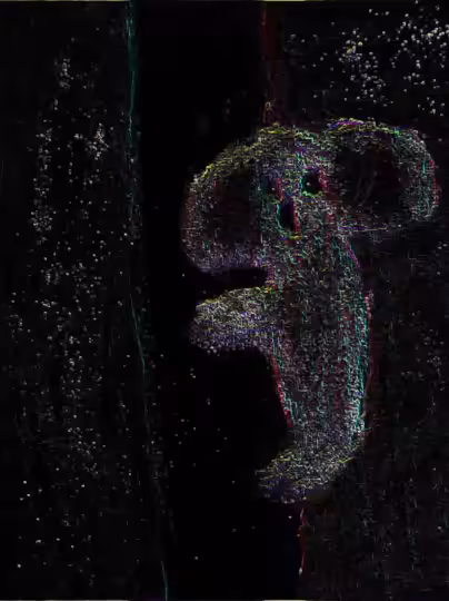 Sound Poem Collab with Oldest Offspring #1 - Koala Tree