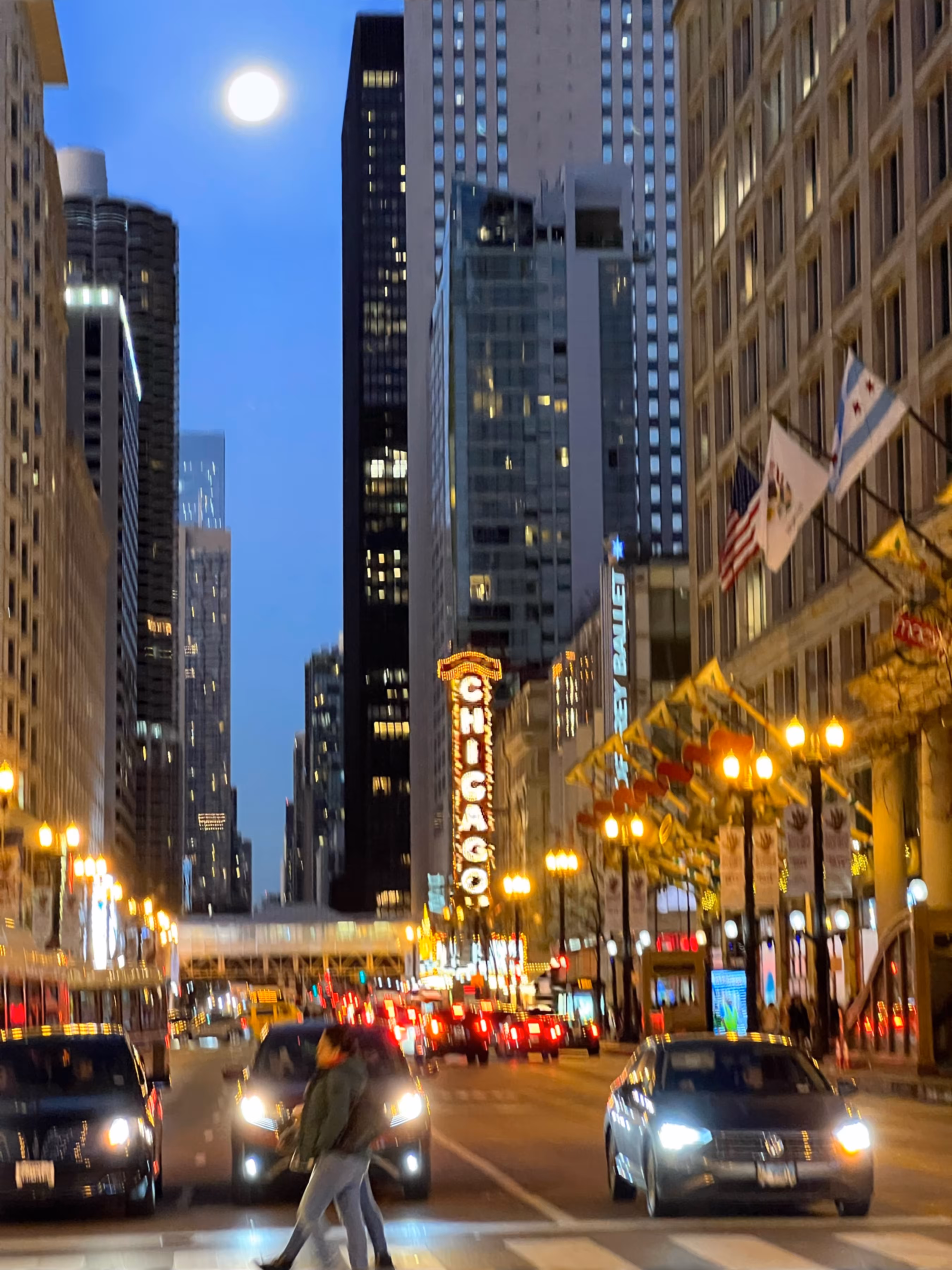 CHICAGO COLLECTION 