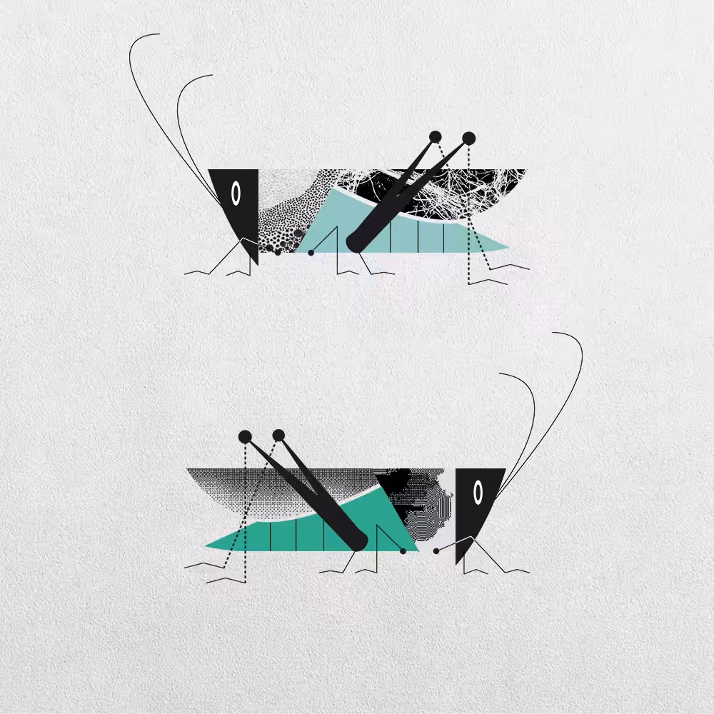 Grasshopper Abstraction #20