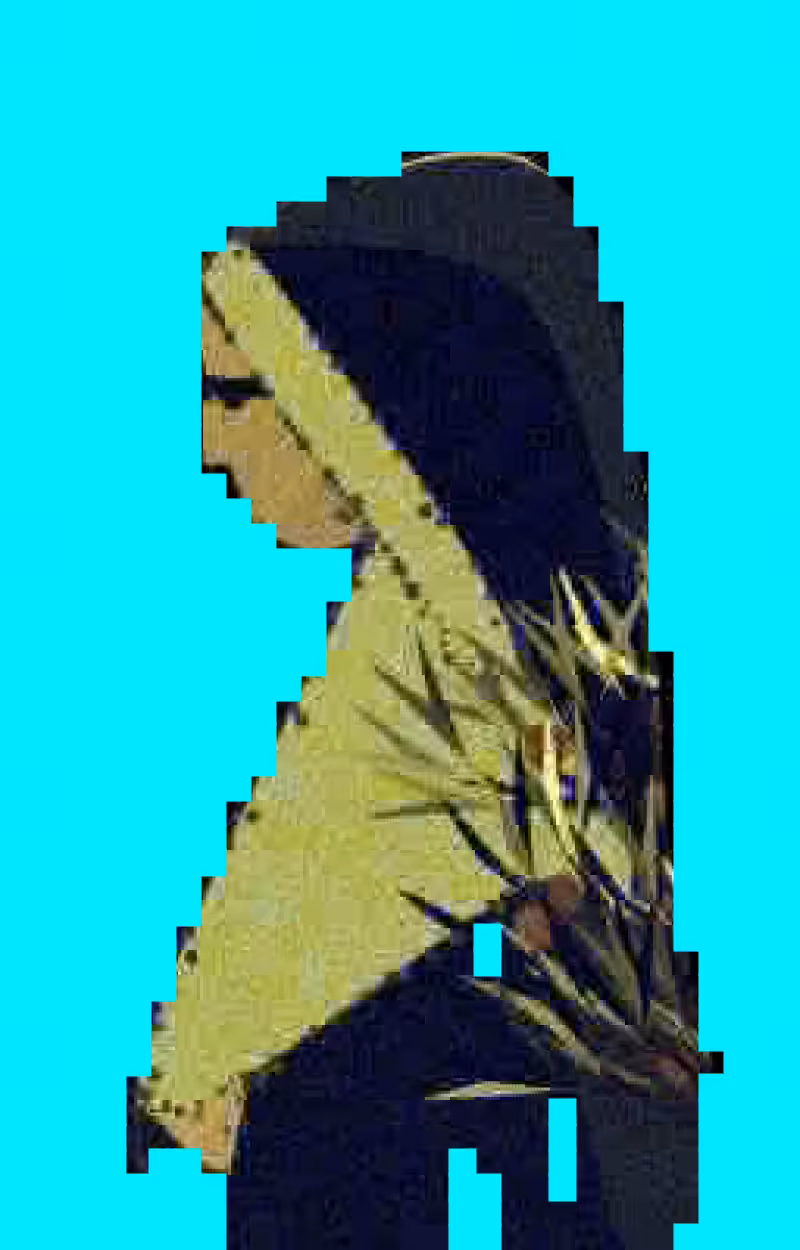 fxFacetune #25