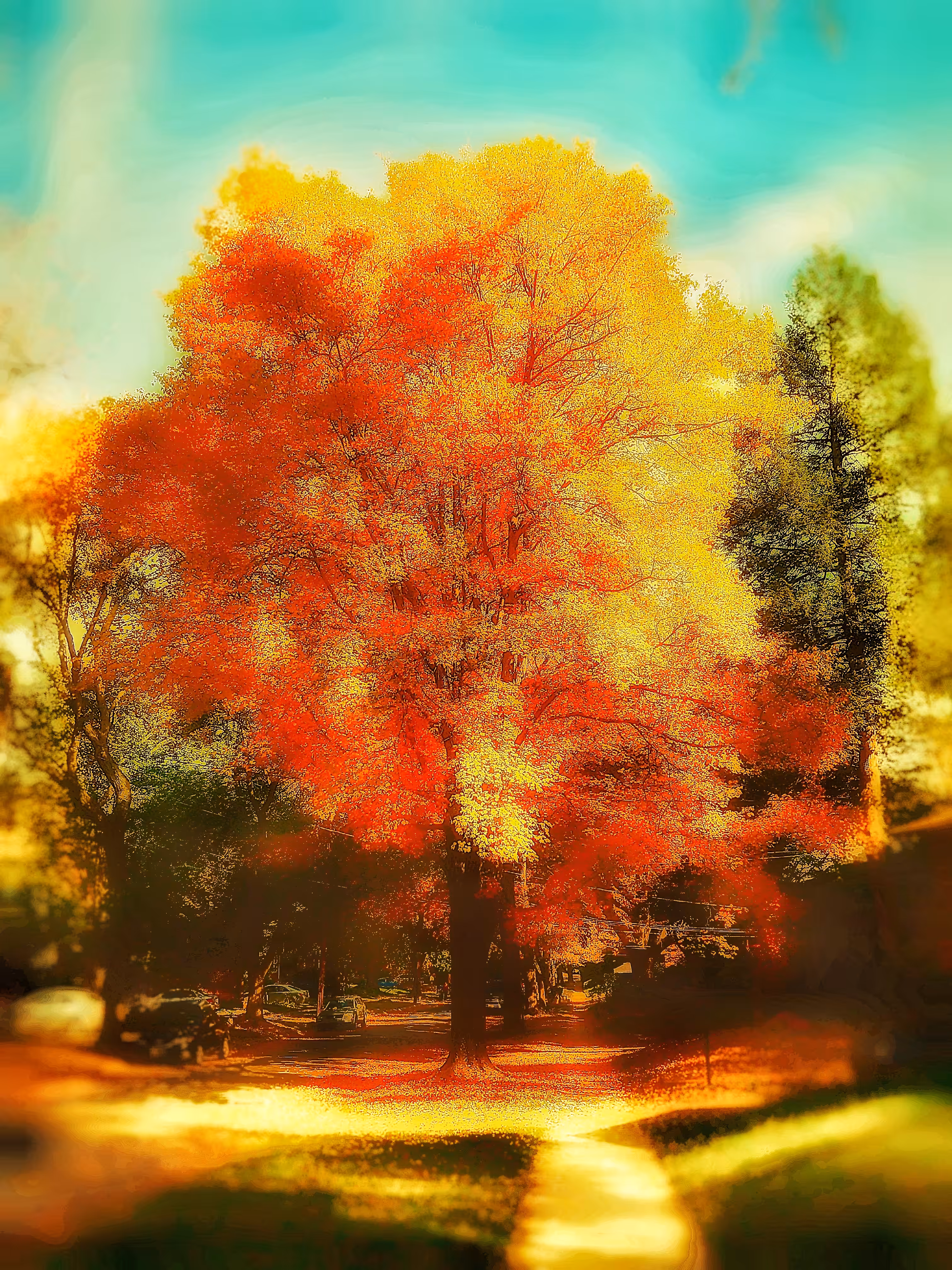 Autumn