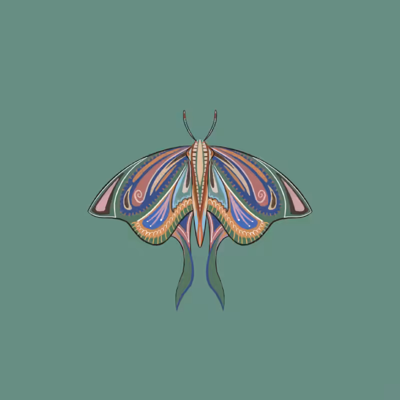 The Moth Experiment 2.0 P2 #24