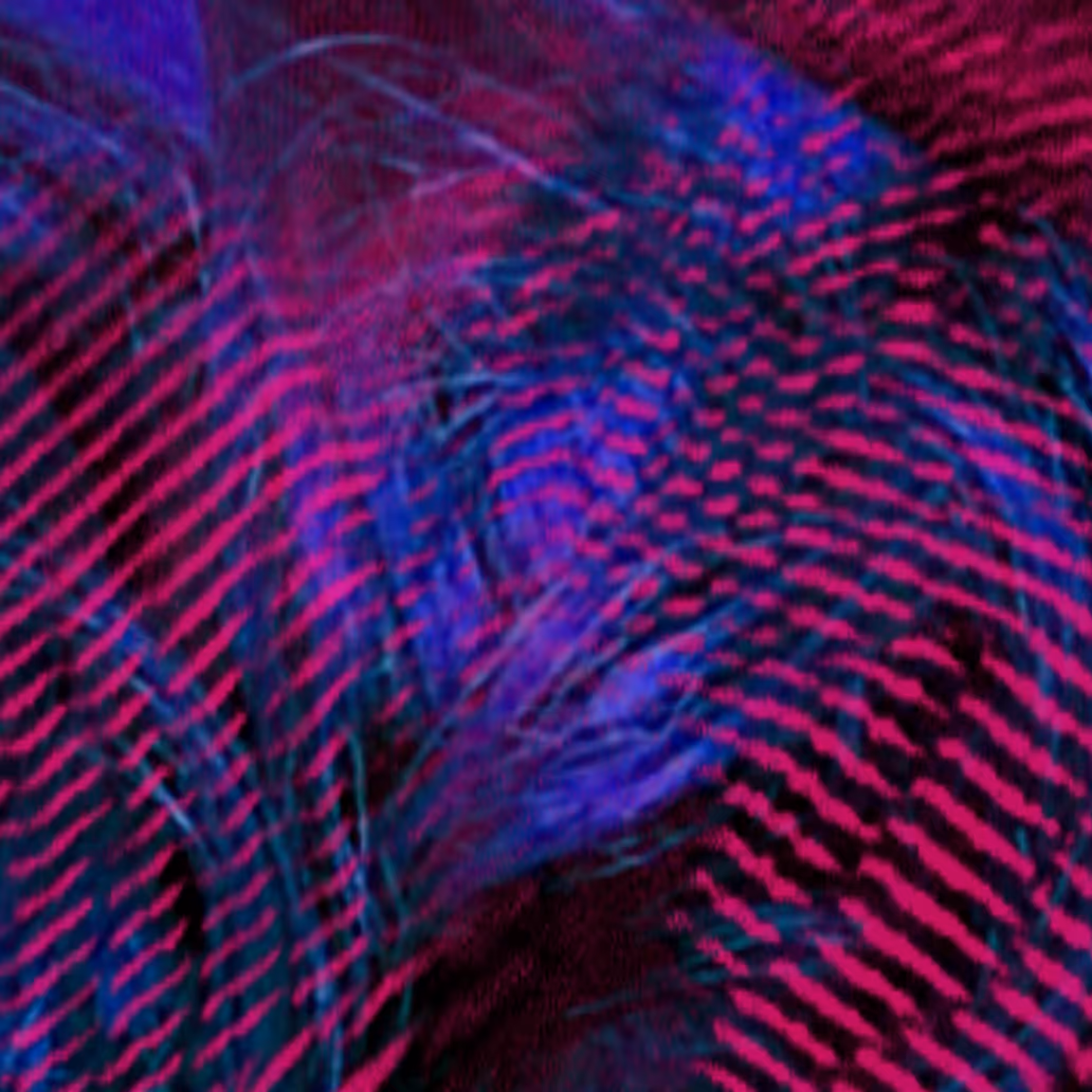 vhs dream 0062