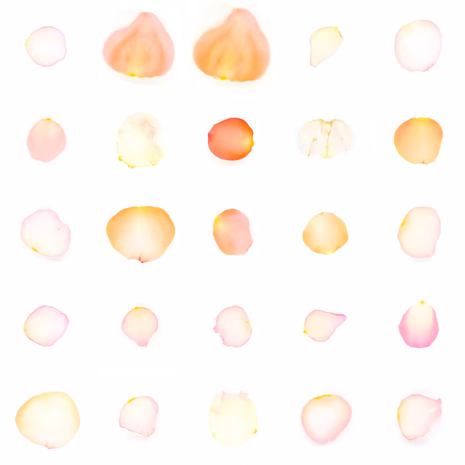 Infinite Petals 5x5#21056