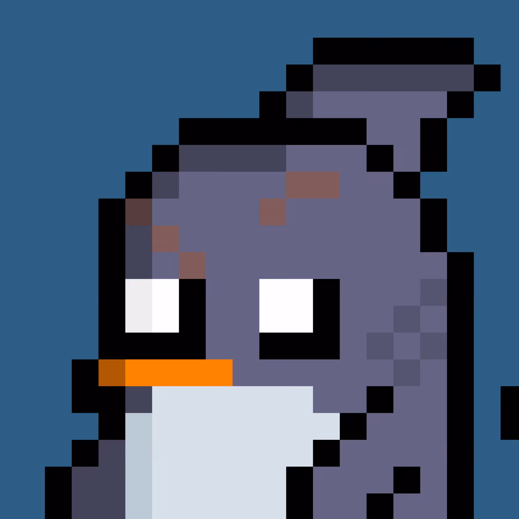 Profile BitPingo #007