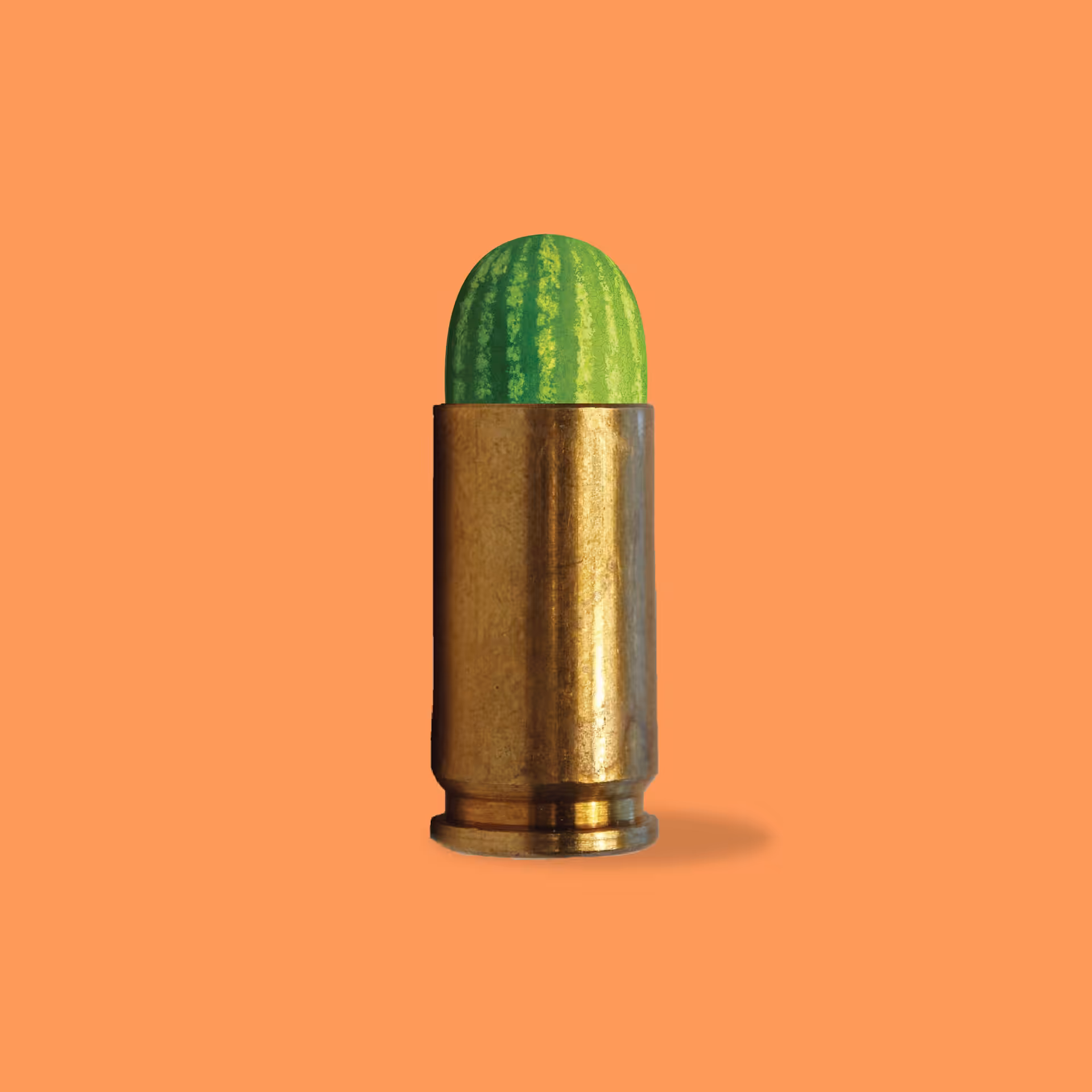 BULLETMELON
