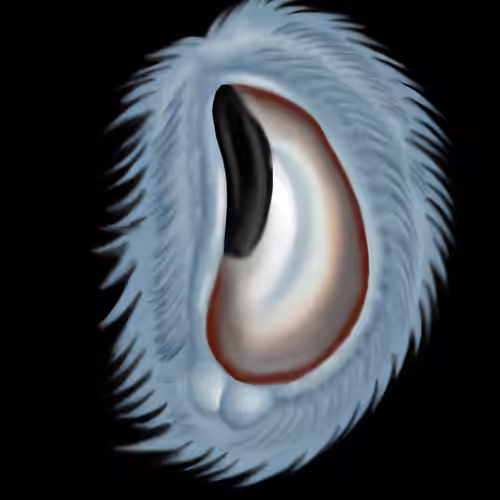 pui#004