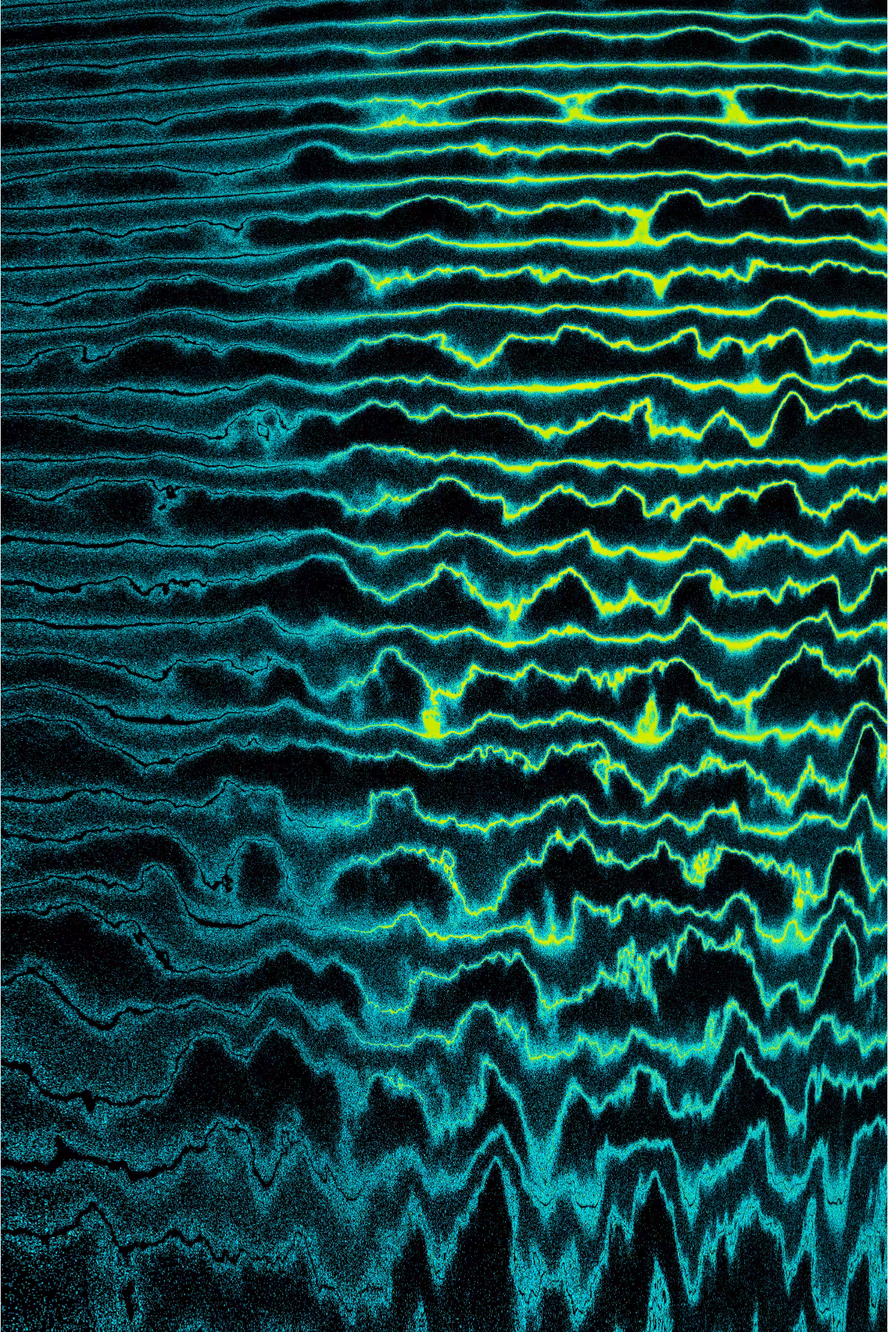 Linear Perturbations #46