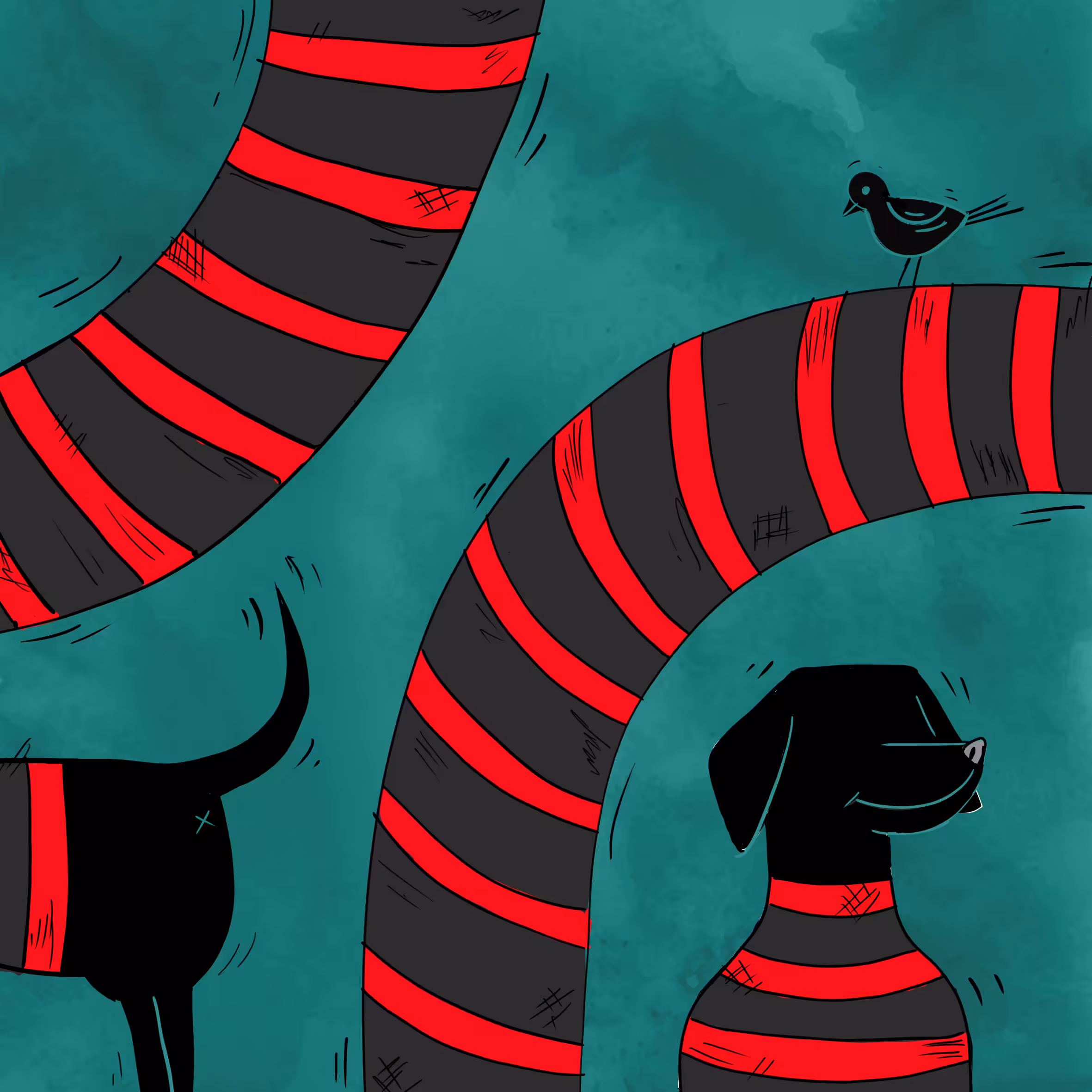 Poochi Diaries: LongBoi!
