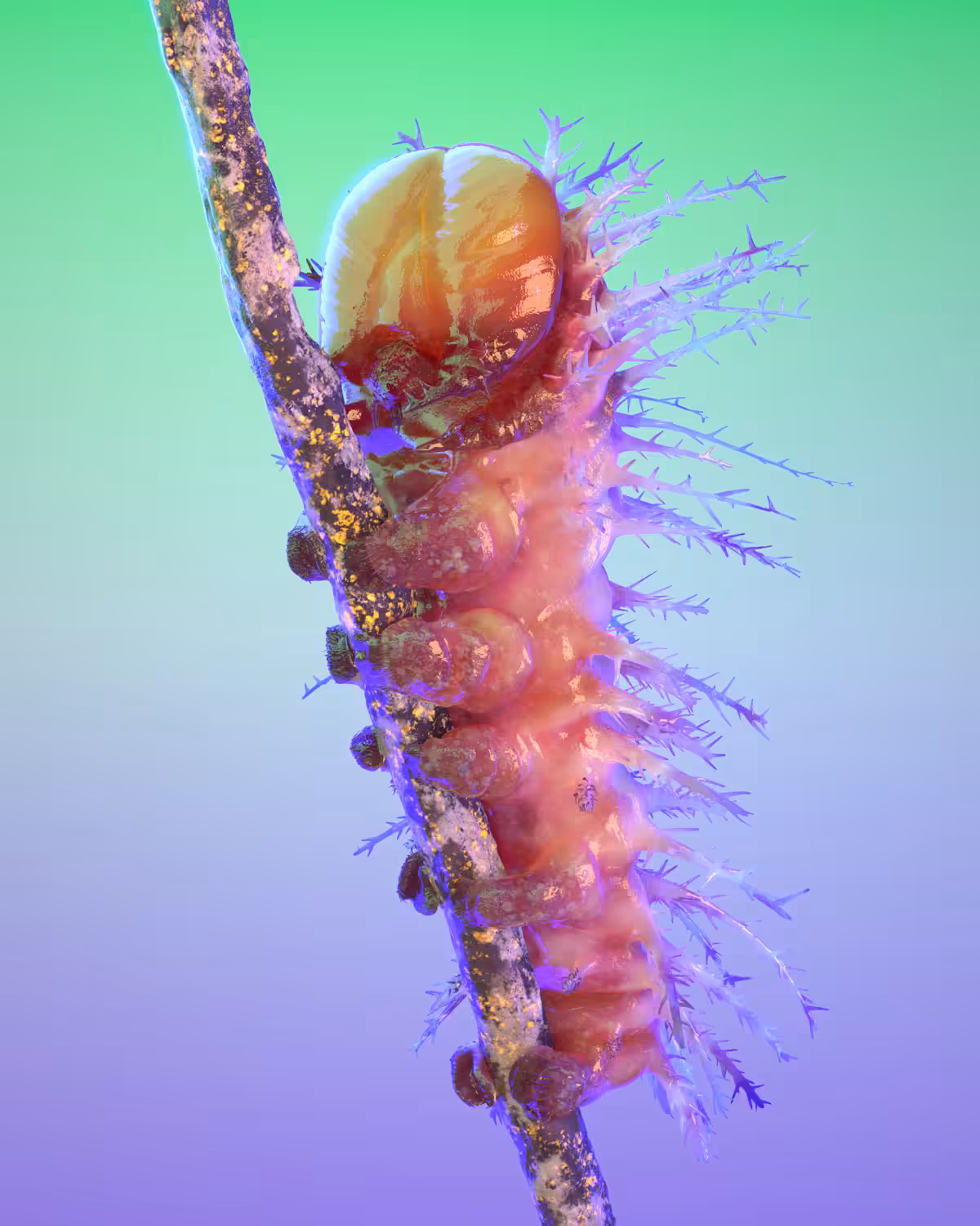 Caterpillar