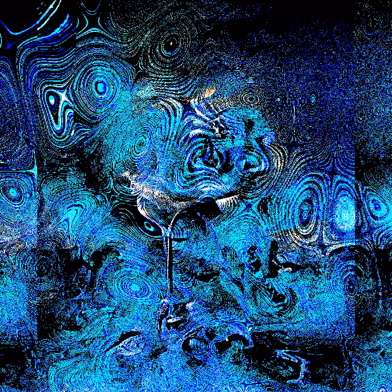 QUANTUM*FLOWERS #11
