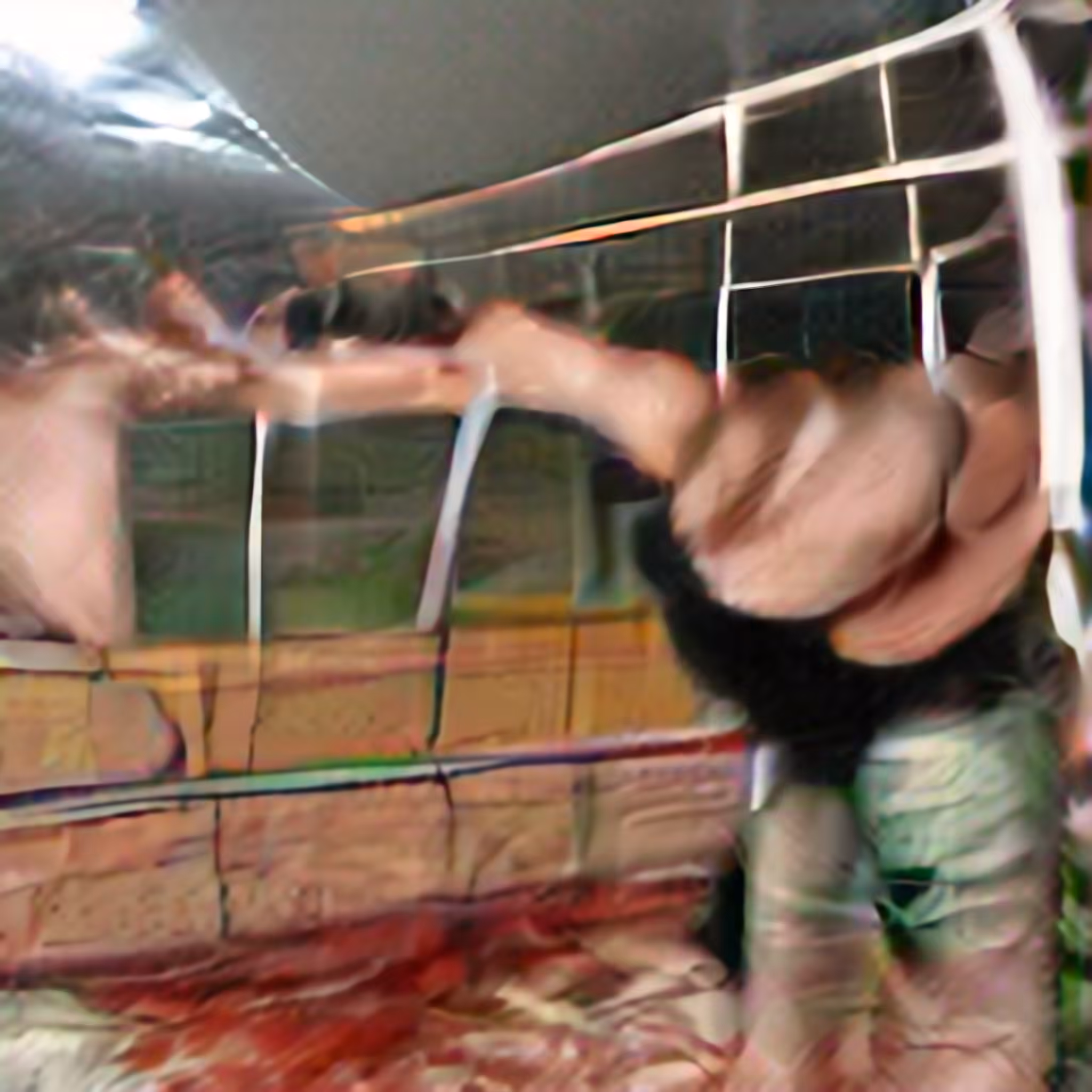 Deathmatch Wrestling Cage Match