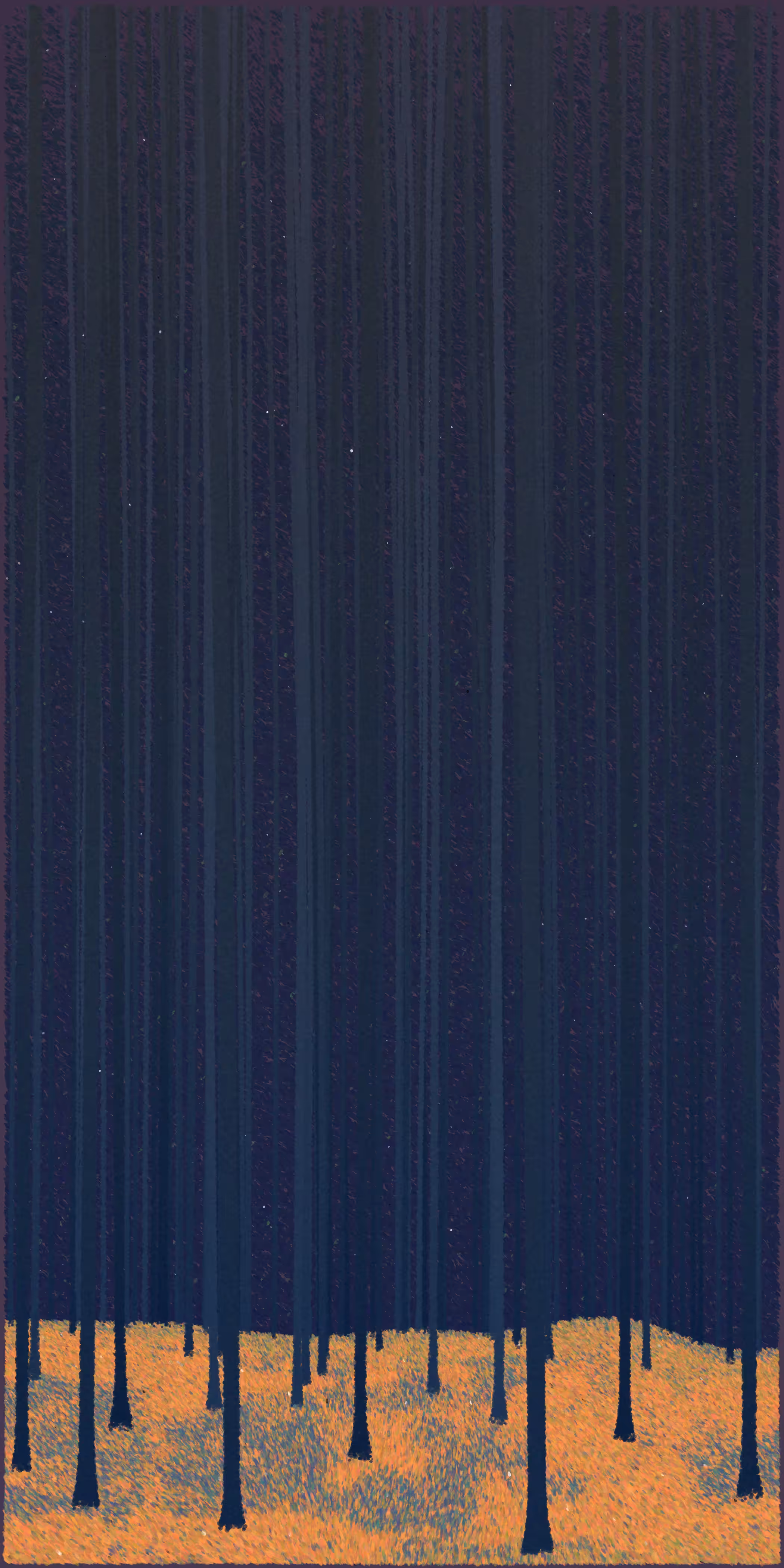 forest 258