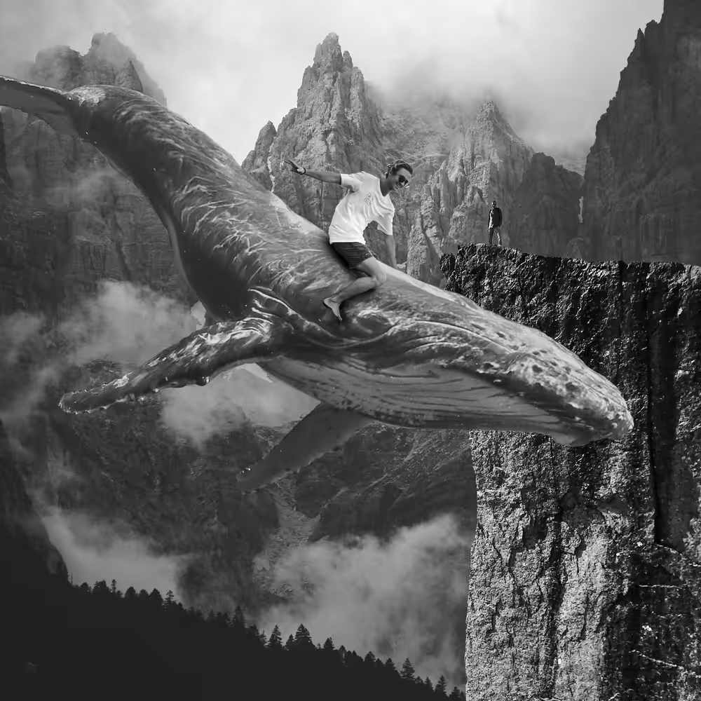 Whale Riding