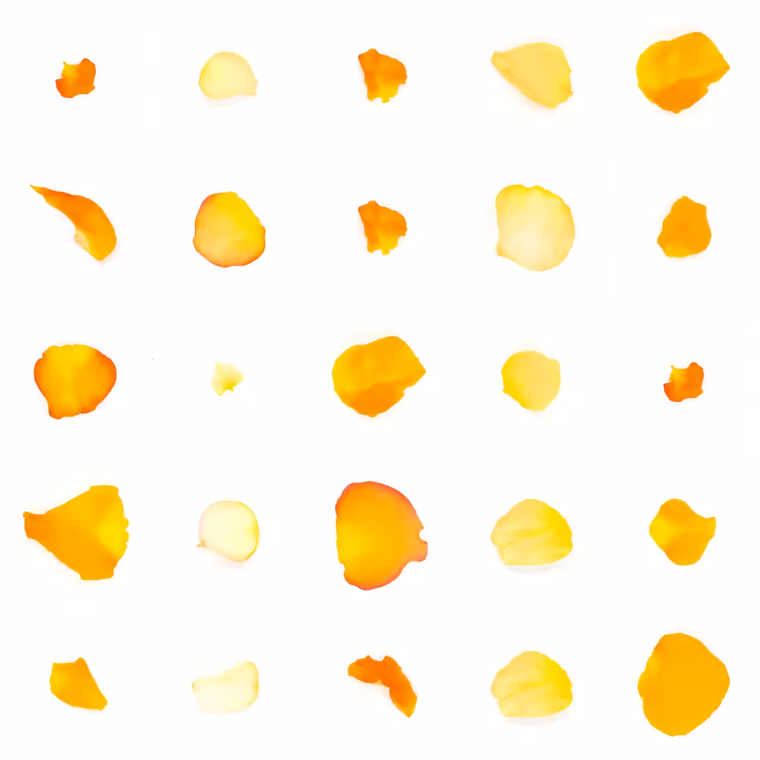 Infinite Petals 5x5#20683