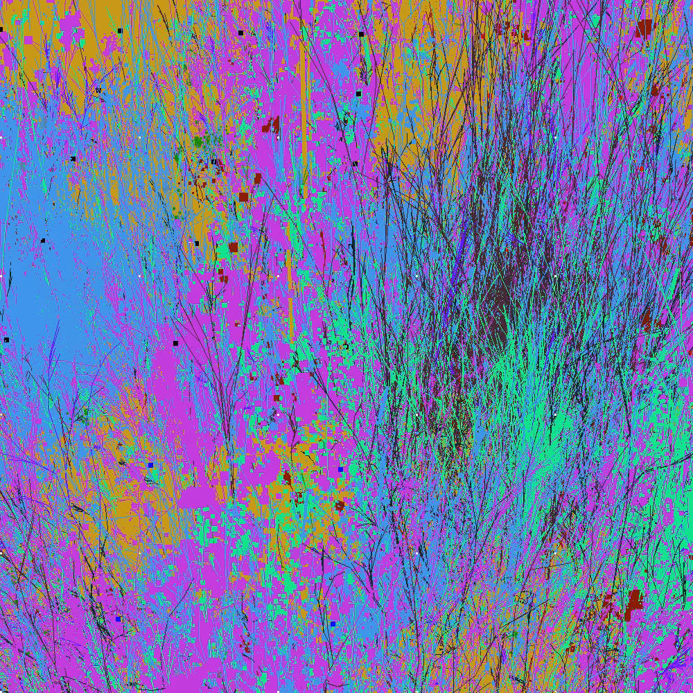 Infinite Garden: 404764 Flowers