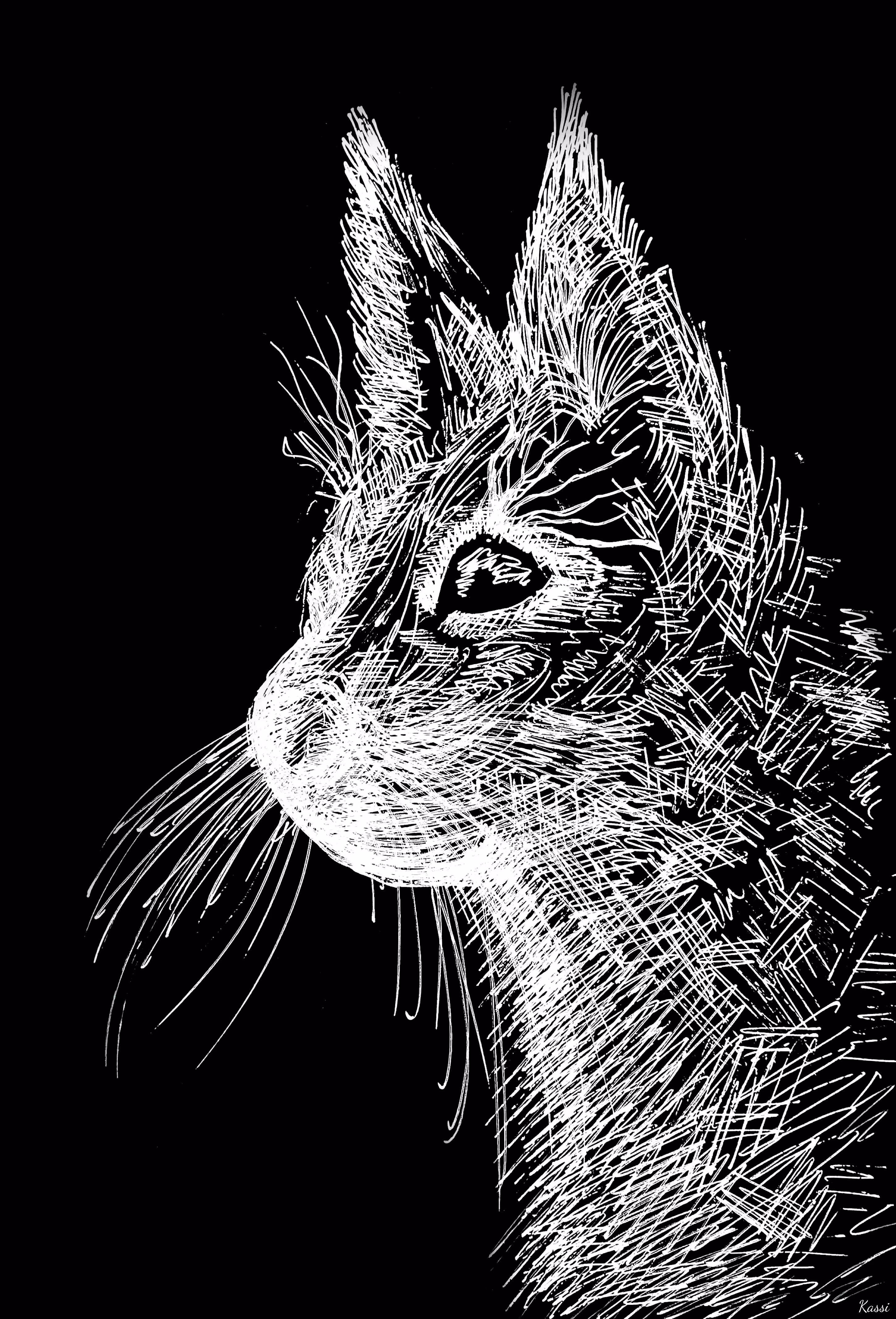 "Cat"
