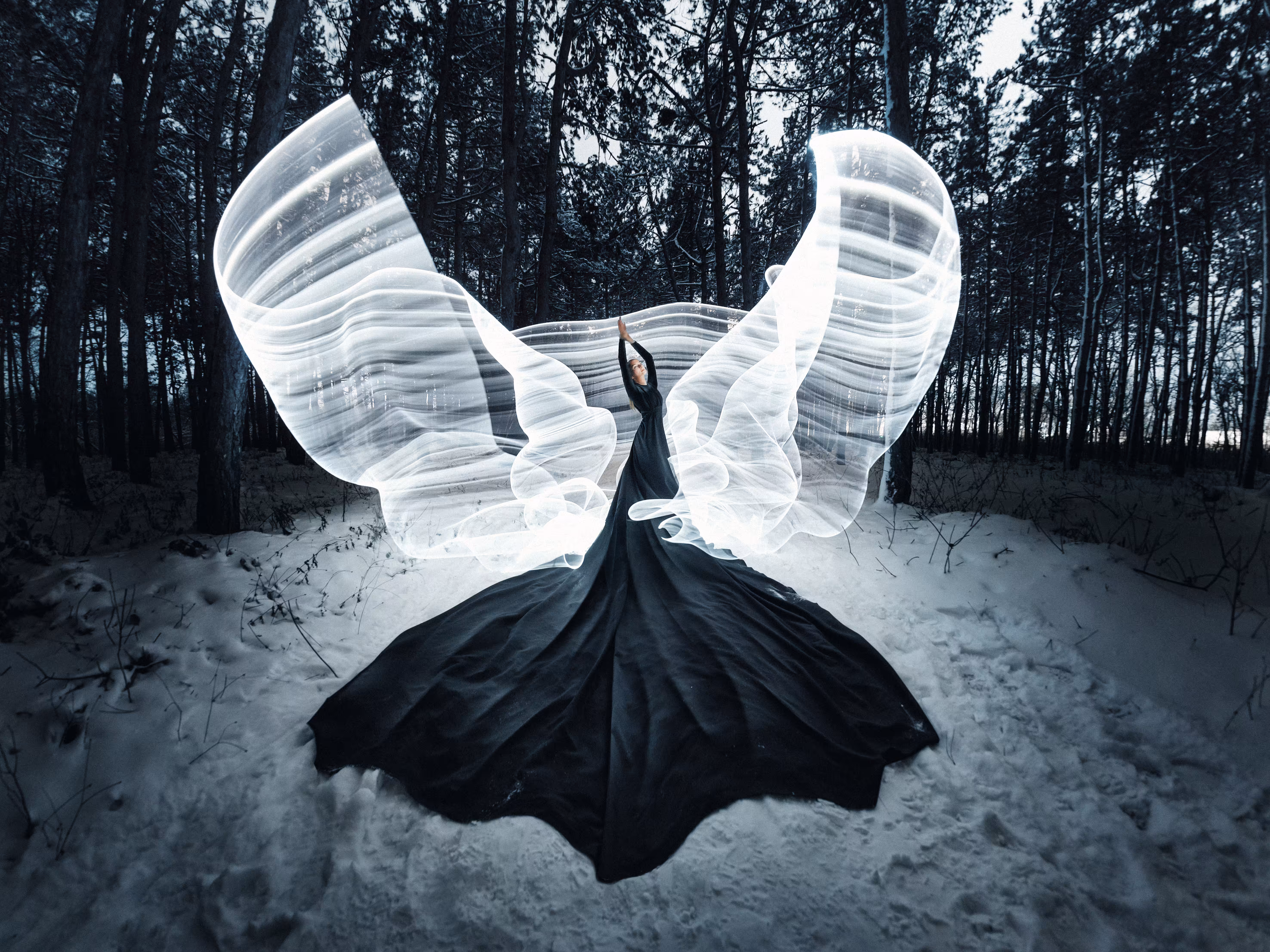 Black Swan