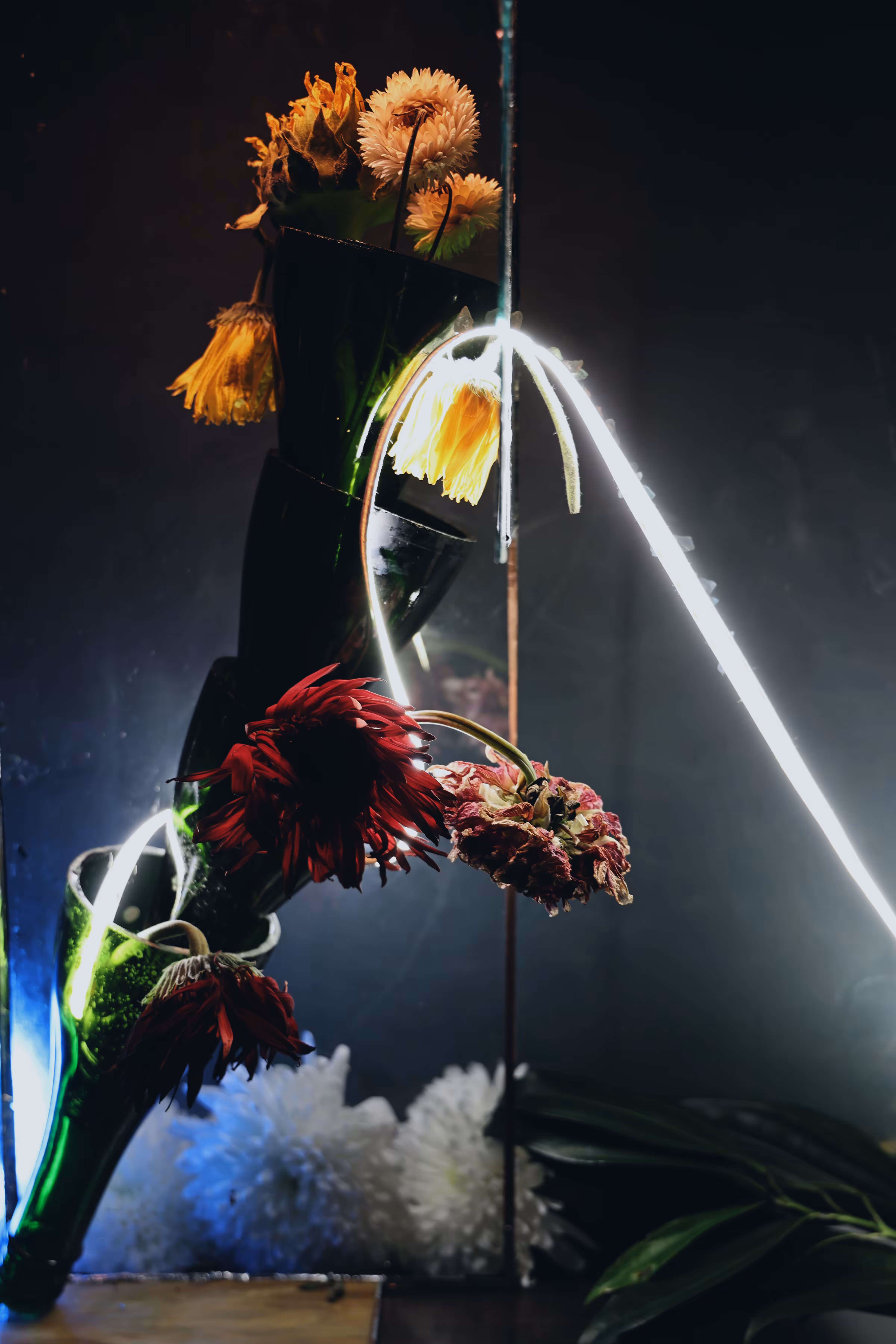 _distorted perception
