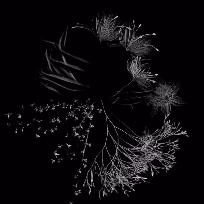 Botanical Ghosts #280