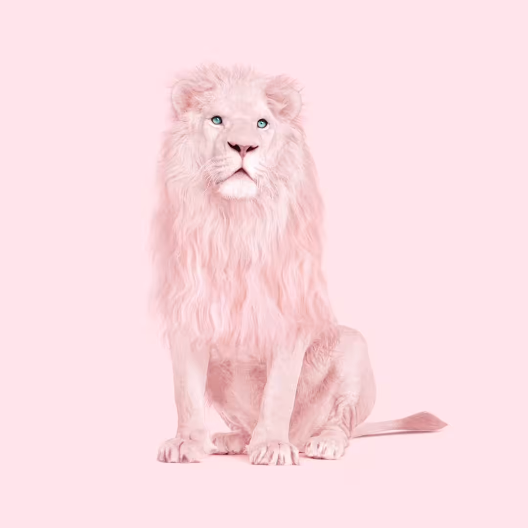 Pink Lion
