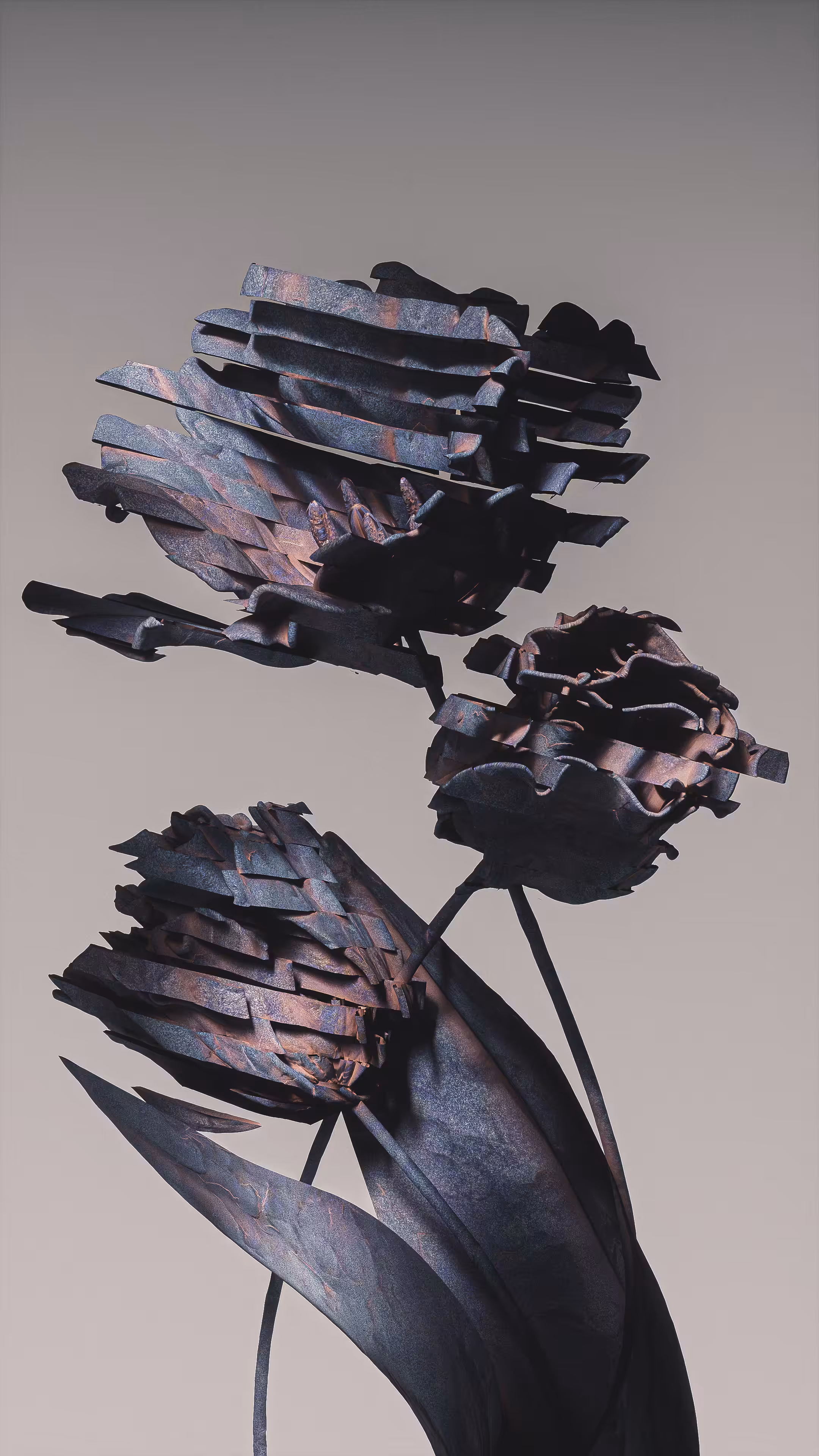 Algorithmic Still life #5