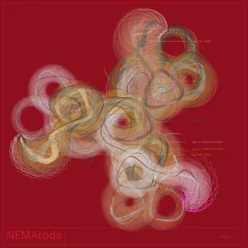NEMA #87