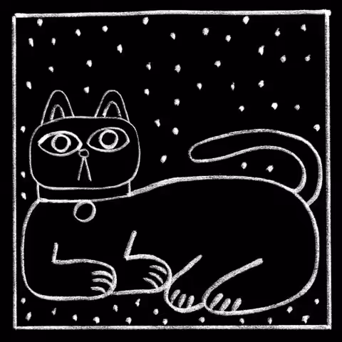 Keith Cat 