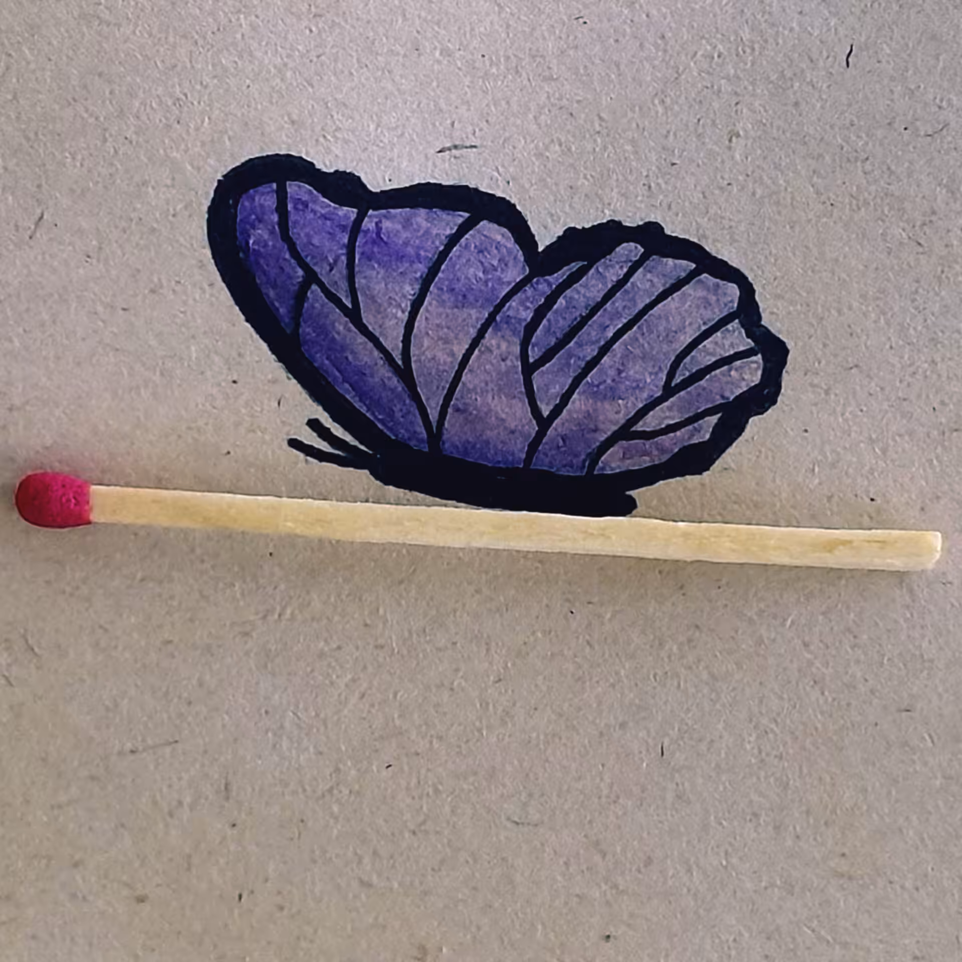 Butterfly 4