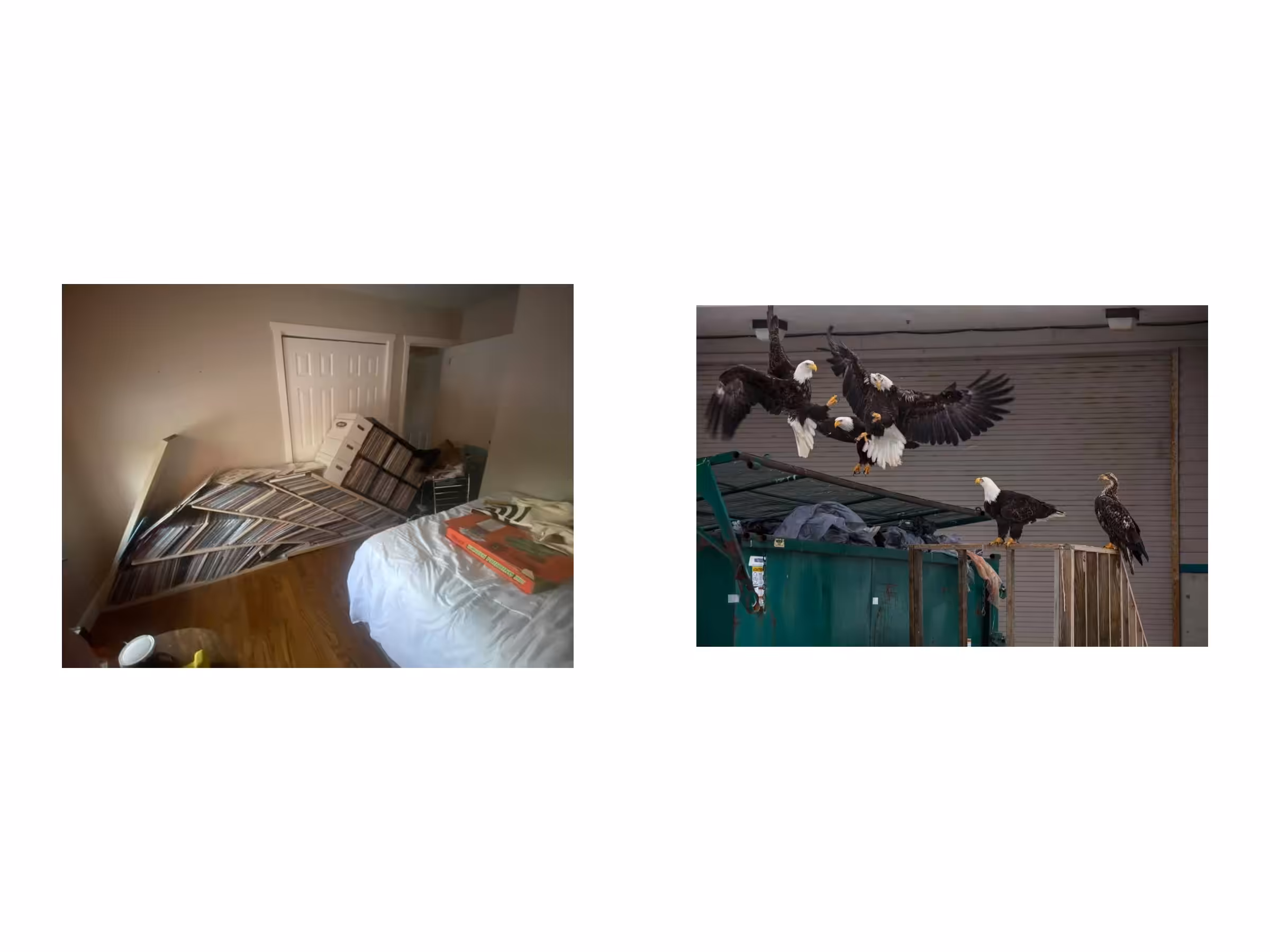 two images 11/6/24